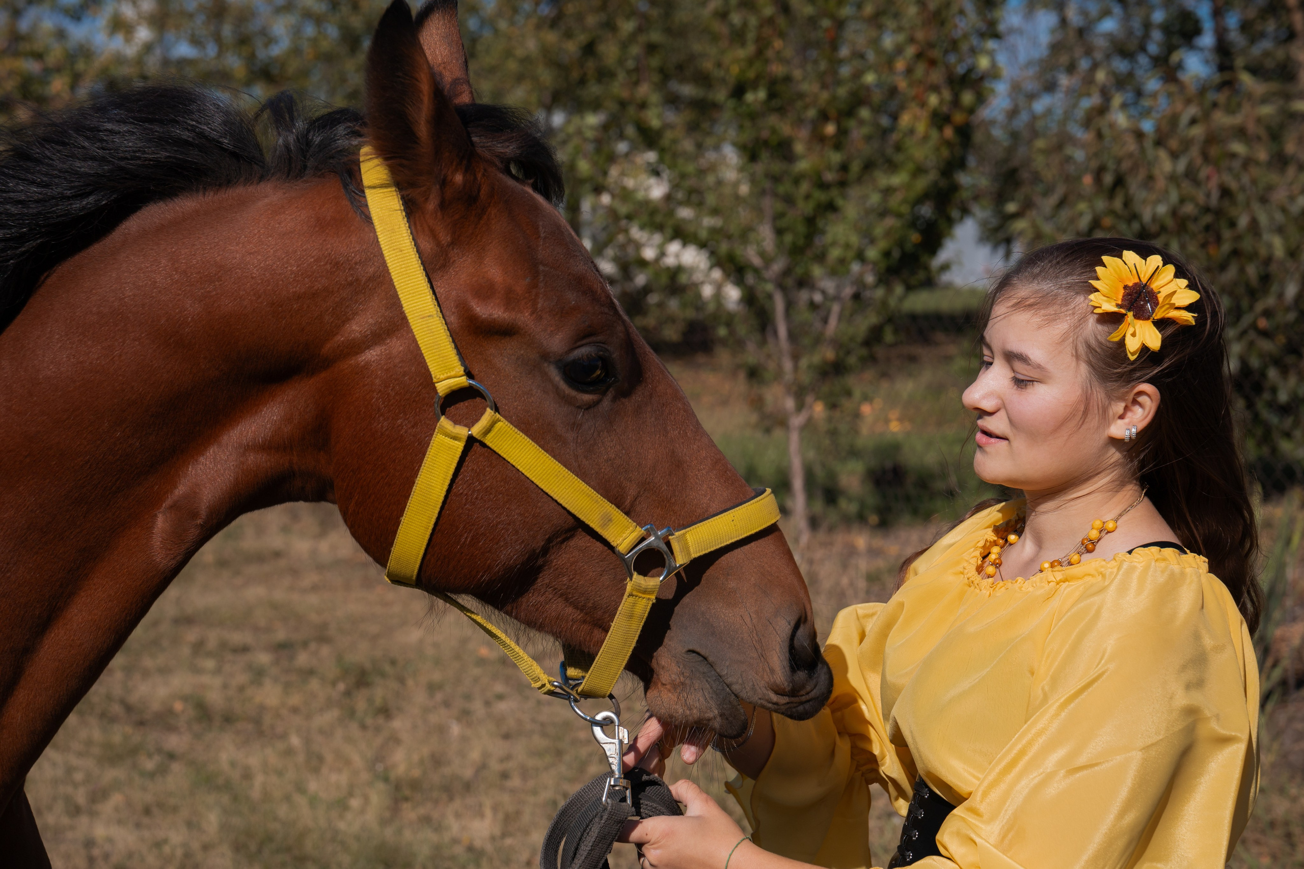Фотосессия с лошадьми