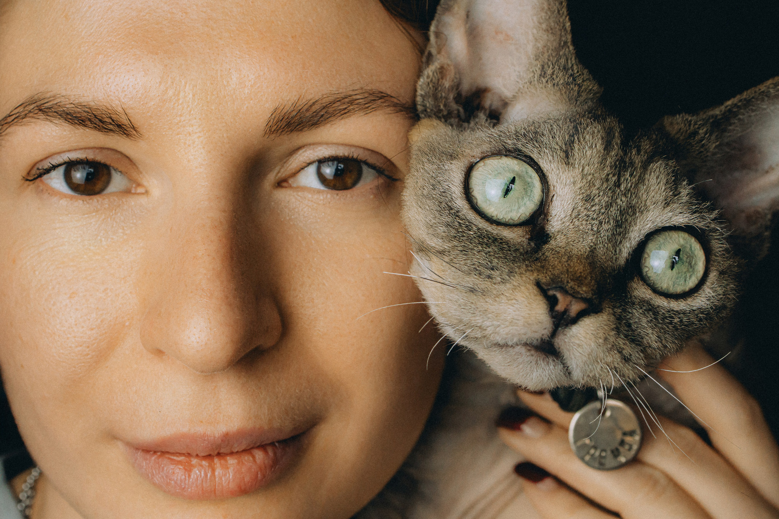 Гречка, Ковш и их семья