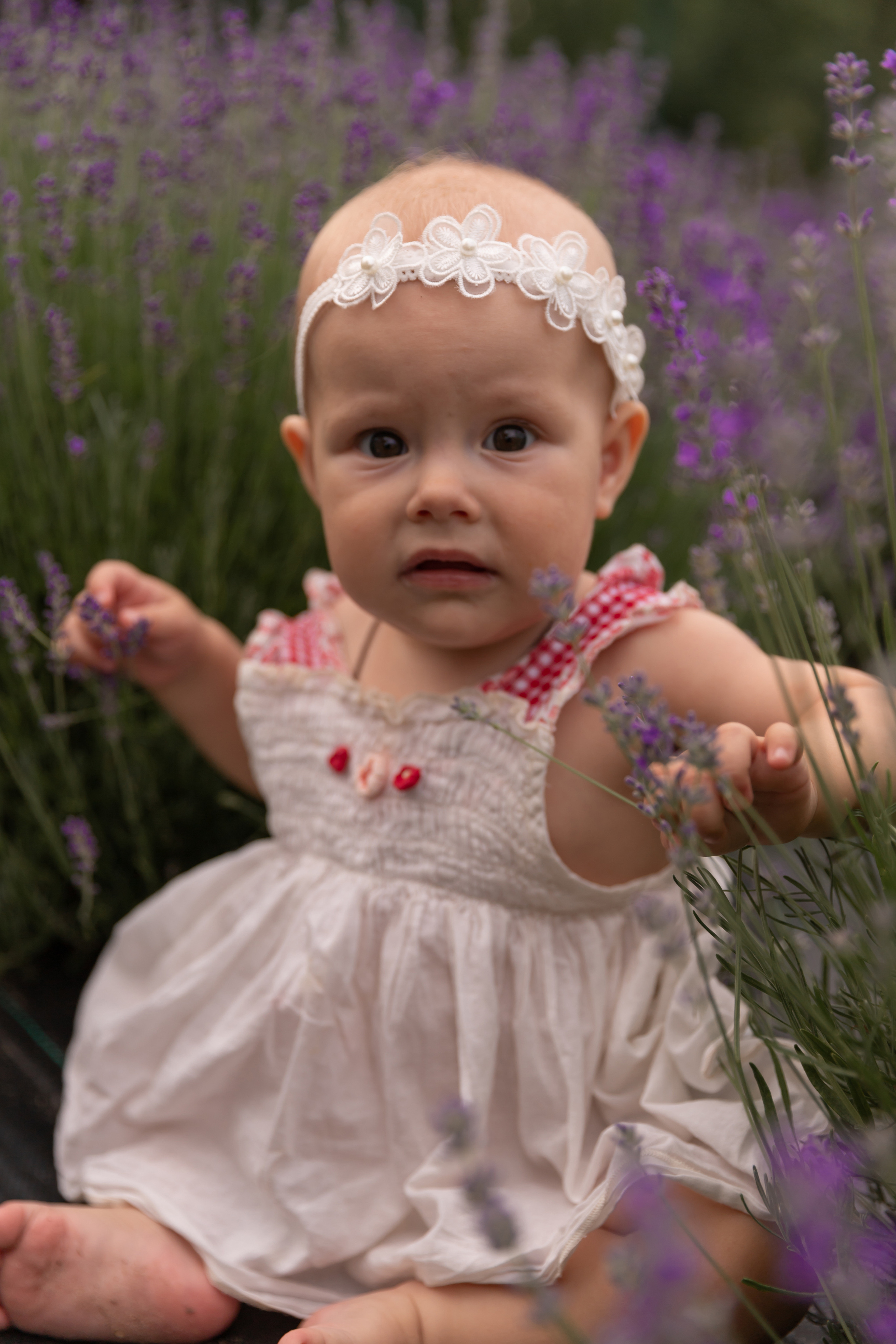 Лаванда. Семейный фотограф в Туле Яна Денисова — семейная фотосессия