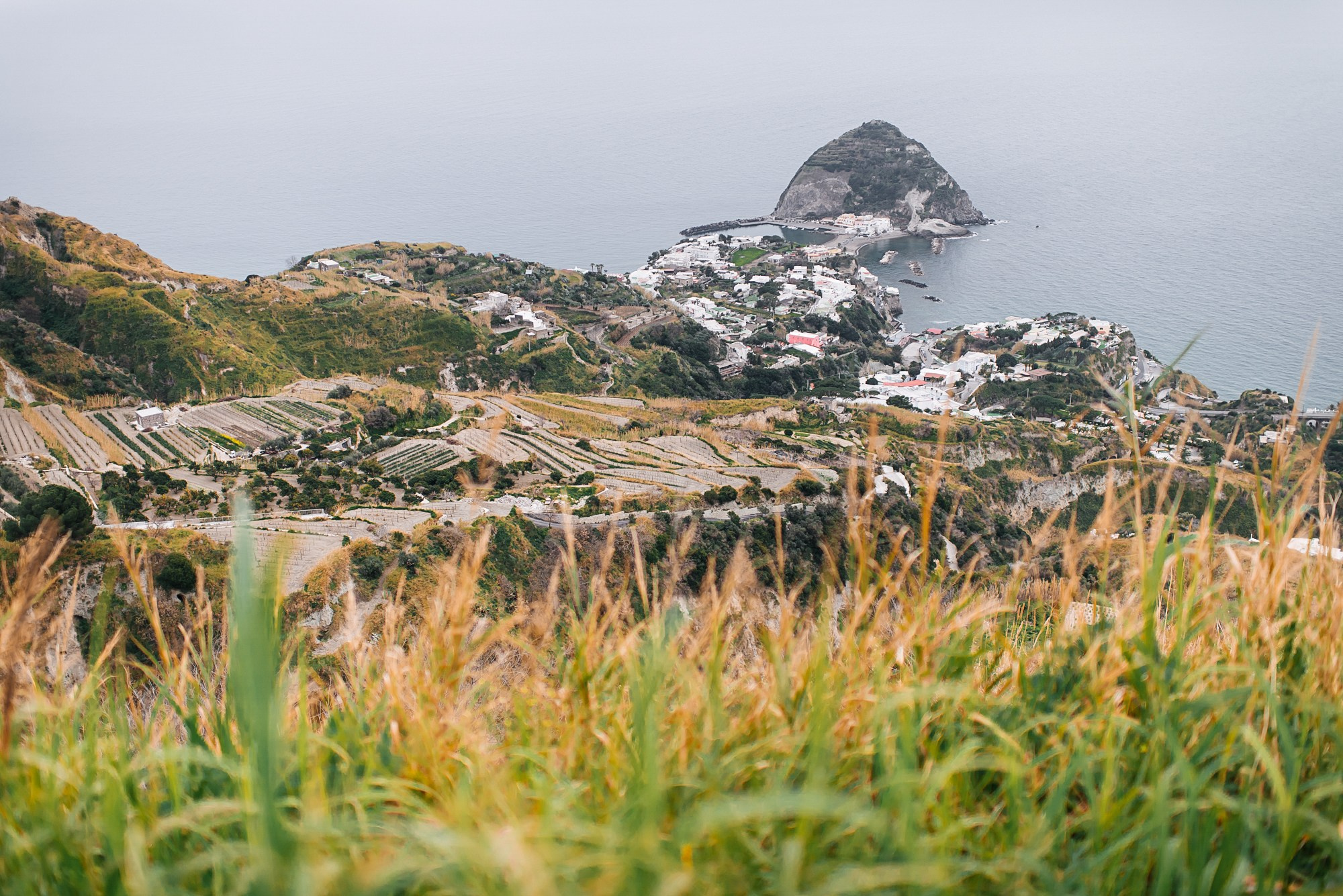 Свадебный фотограф Новосибирск