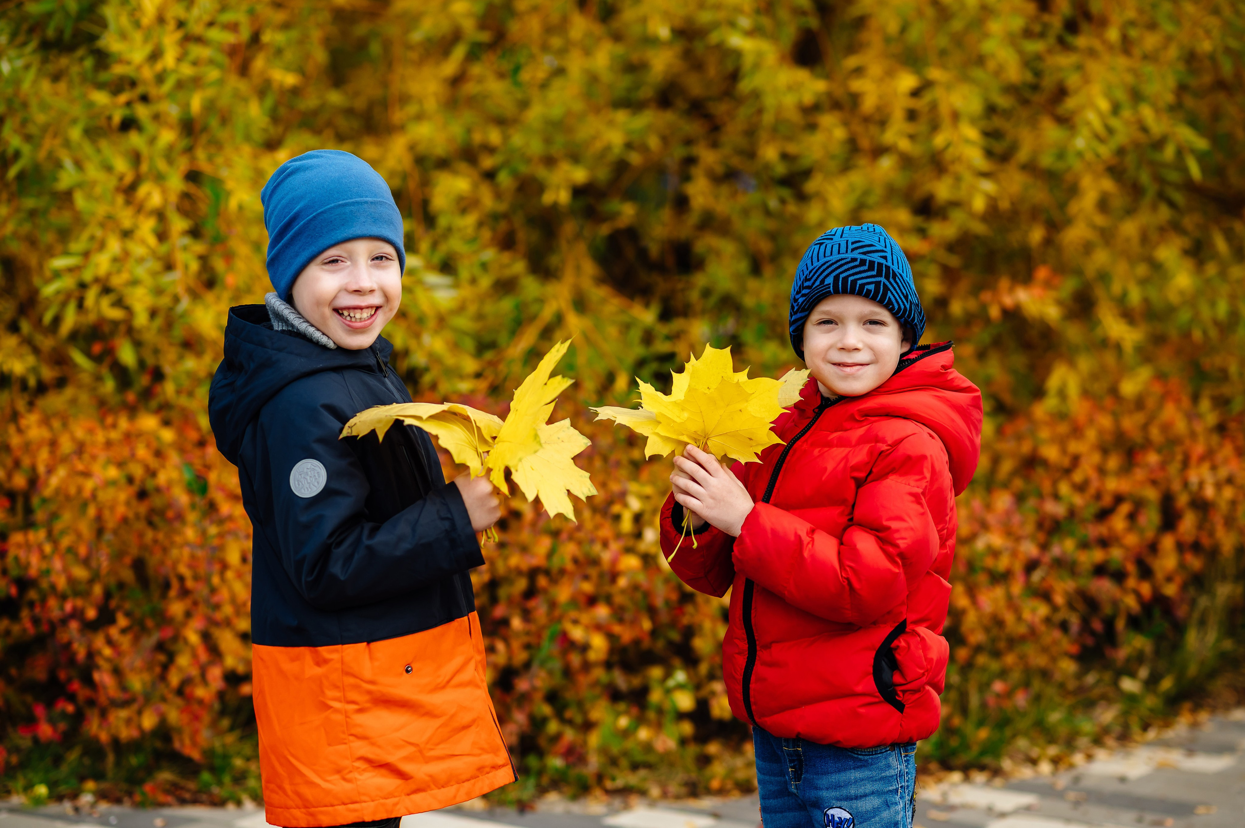 Детский сад
