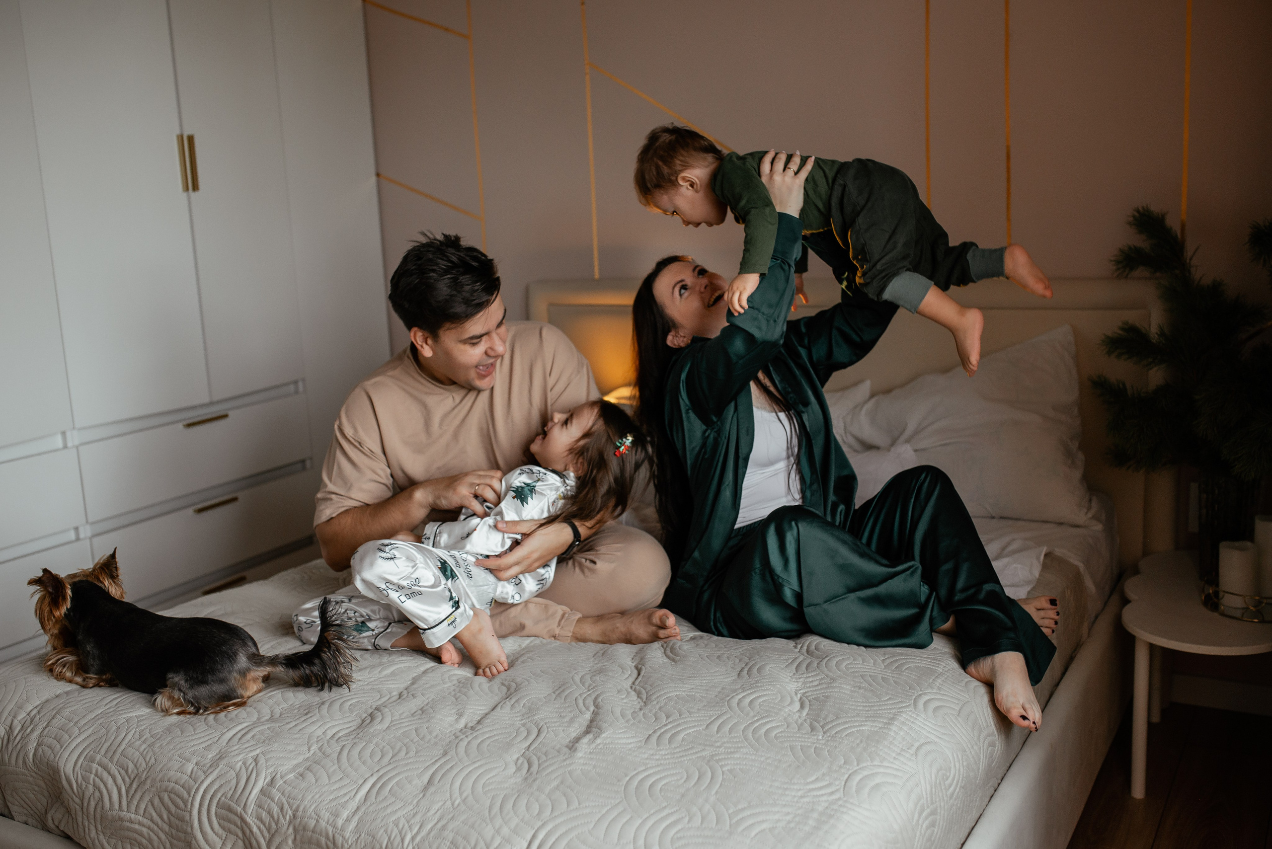 Домашняя новогодняя. Галина Чекунова Фотограф в Ростове-на-Дону