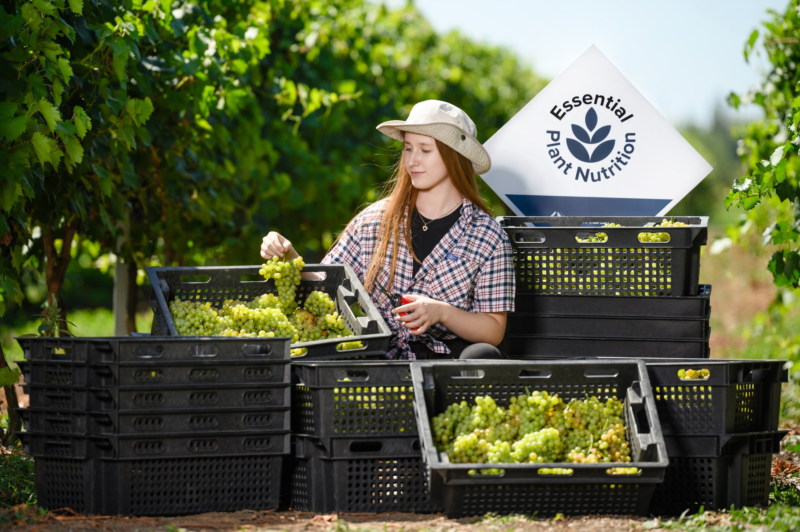 Проекты. Профессиональный фотограф Вячеслав Плацында | Липецк |