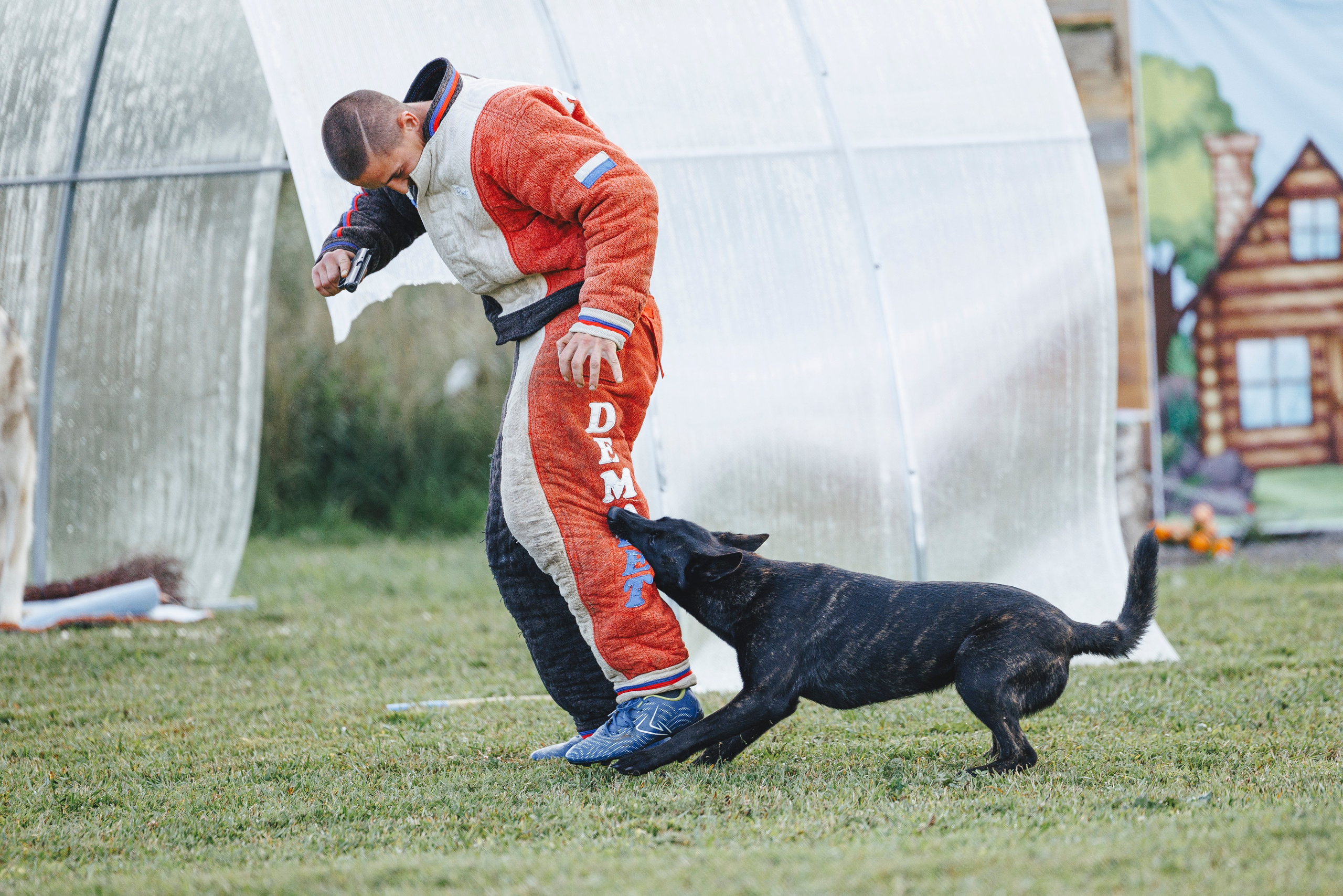 08.08.25-10.08.25 ЧР по мондьорингу г. Вологда. Фотограф-анималист Анна Маринич