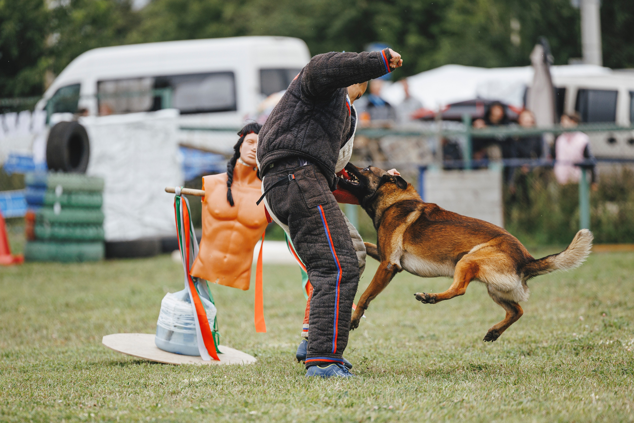 08.08.25-10.08.25 ЧР по мондьорингу г. Вологда. Фотограф-анималист Анна Маринич