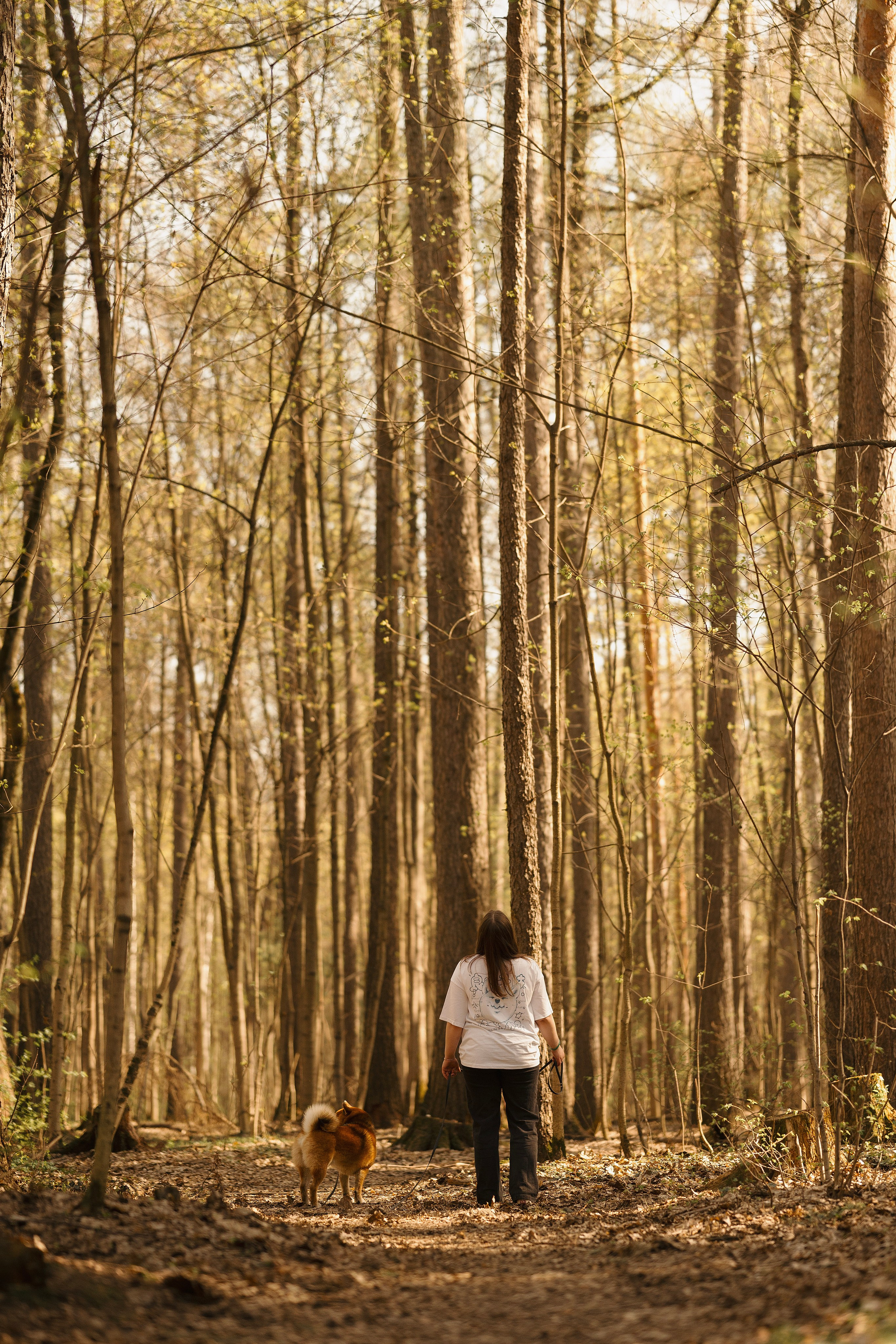 Юнки. Фотограф- анималист Александра Матвеева