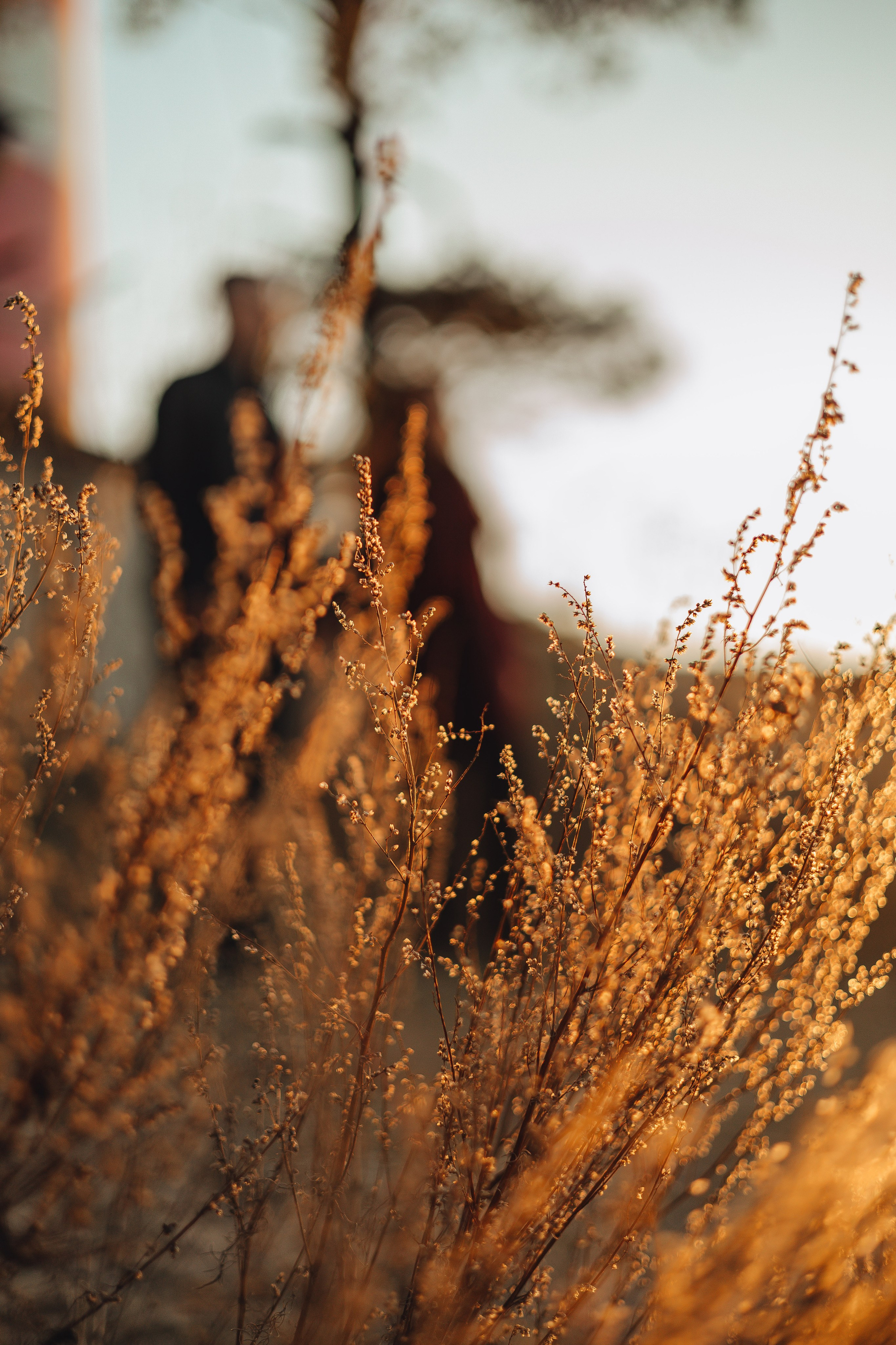 Люба & Женя. Шепелевский маяк. Свадебный и семейный фотограф Пушкин Царское Село СПБ Питер Санкт-Петербург и Рязань Ольга Козлова
