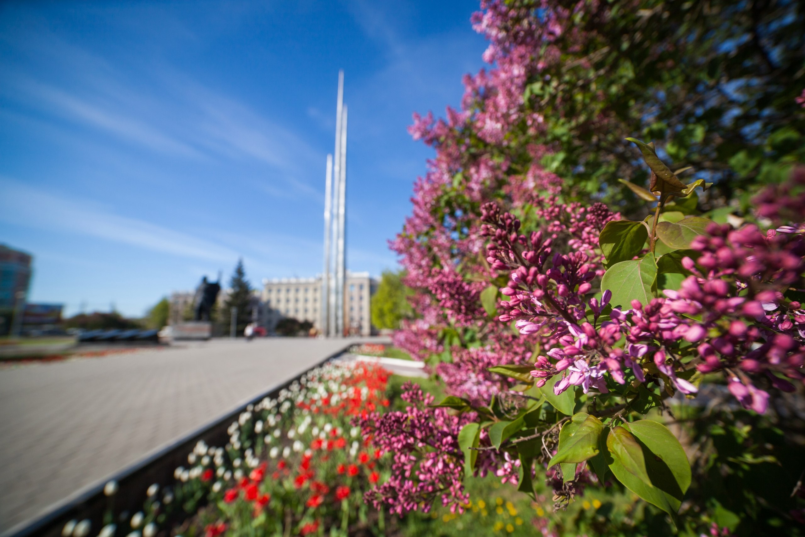 Тула. Репортажный фотограф Алексей Пирязев