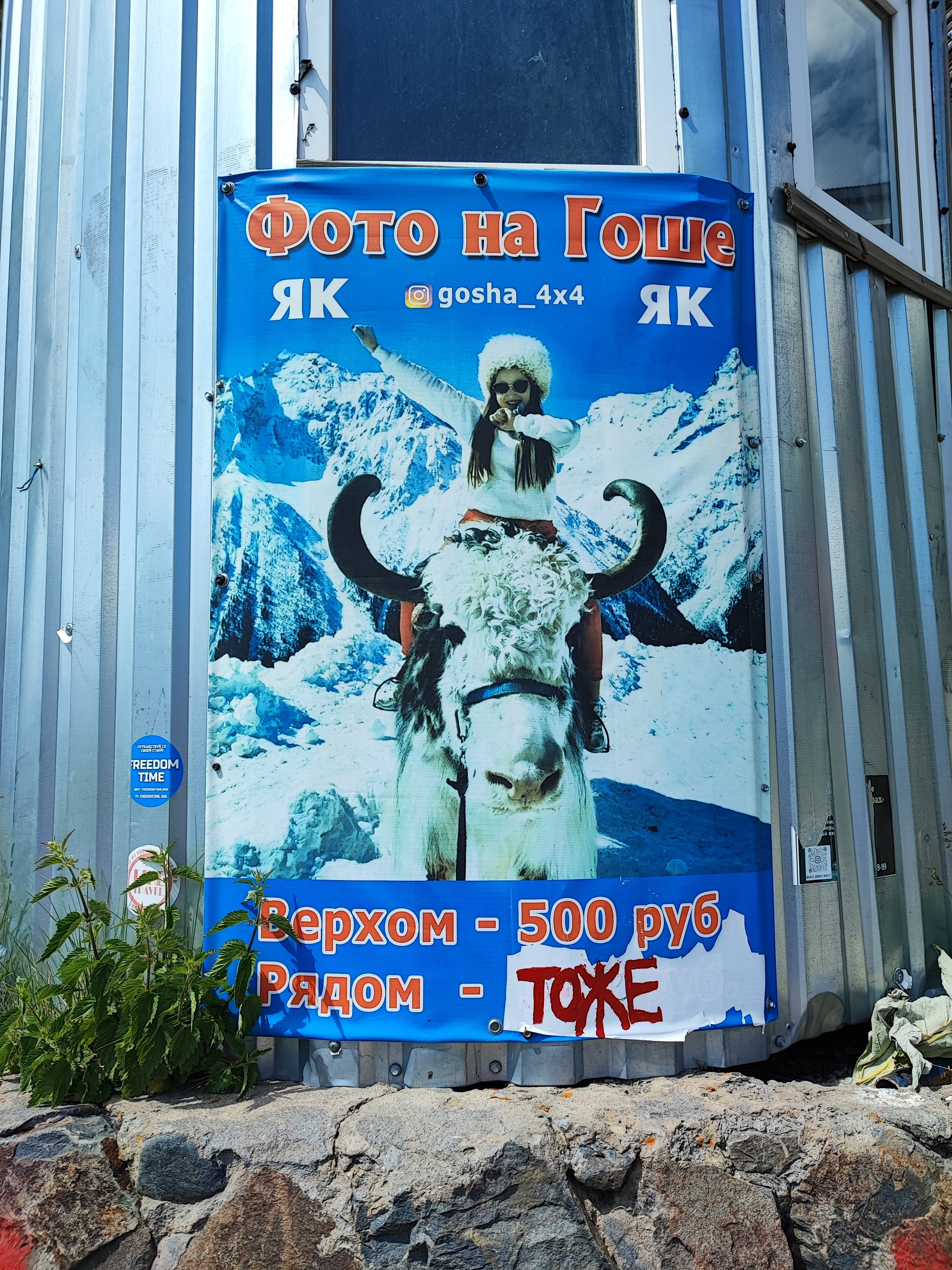 Намобилкус кавказский. Репортажный фотограф Алексей Пирязев