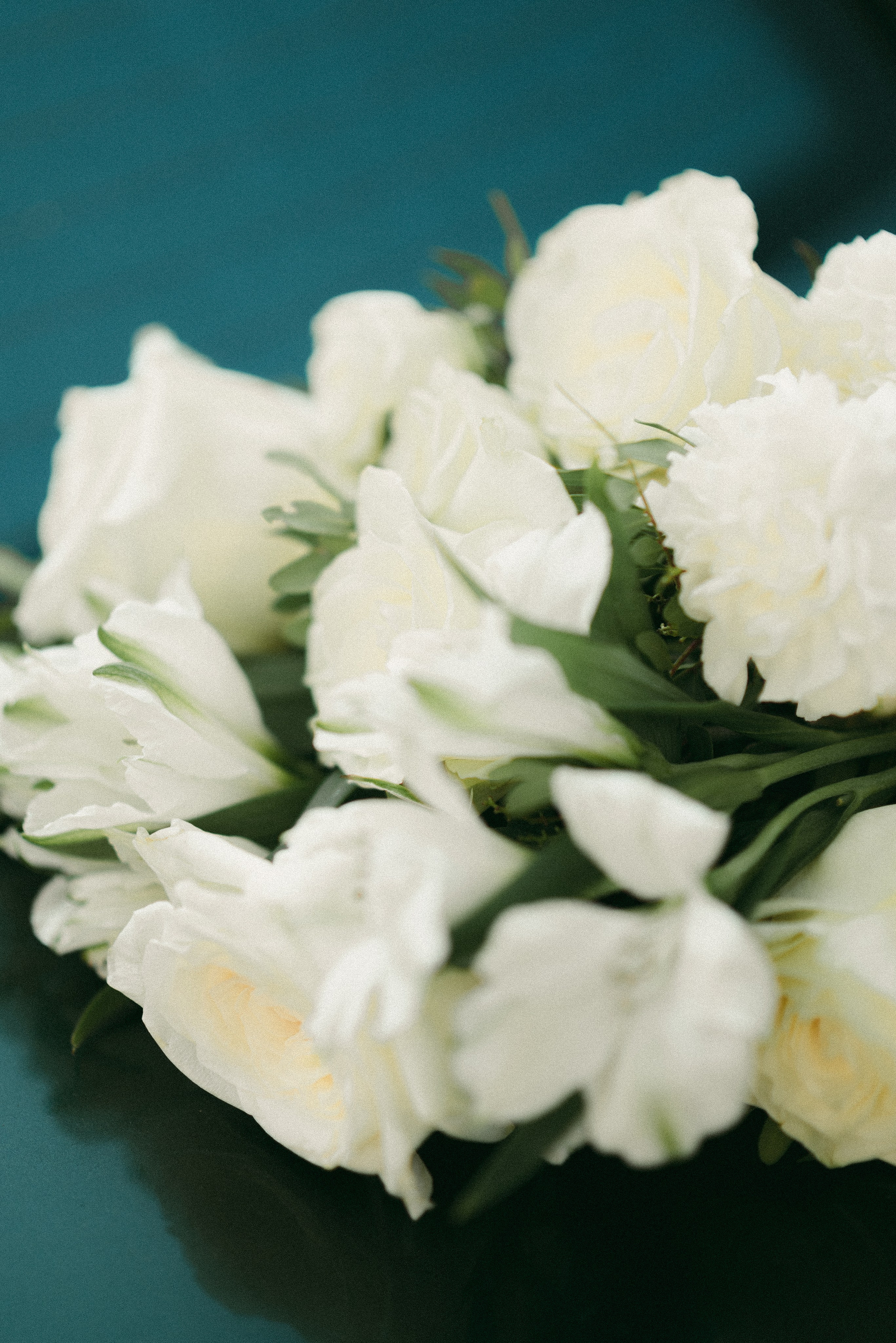 Екатерина и Вадим. Гомель. Фотограф Санкт-Петербург, Новороссийск