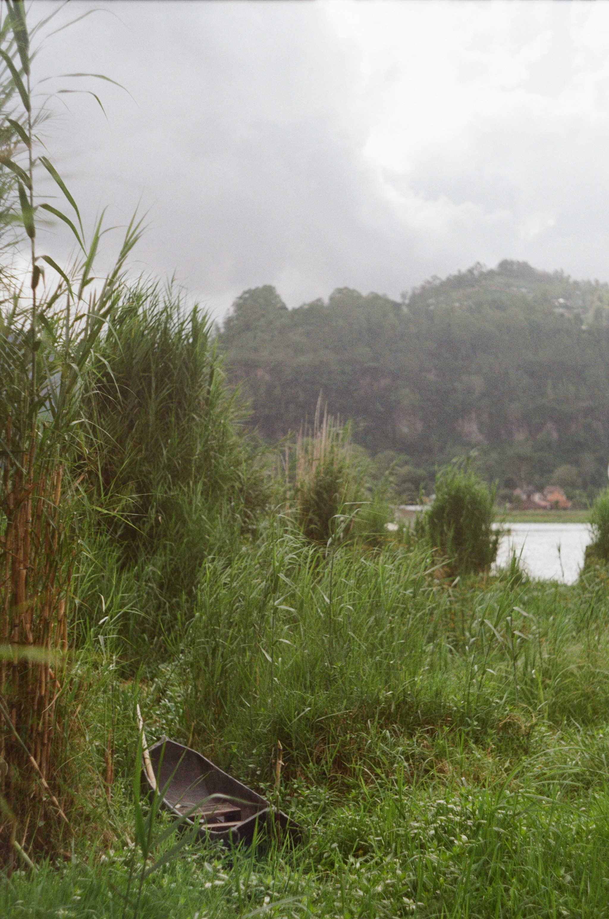 Bali. Photographer Cyprus