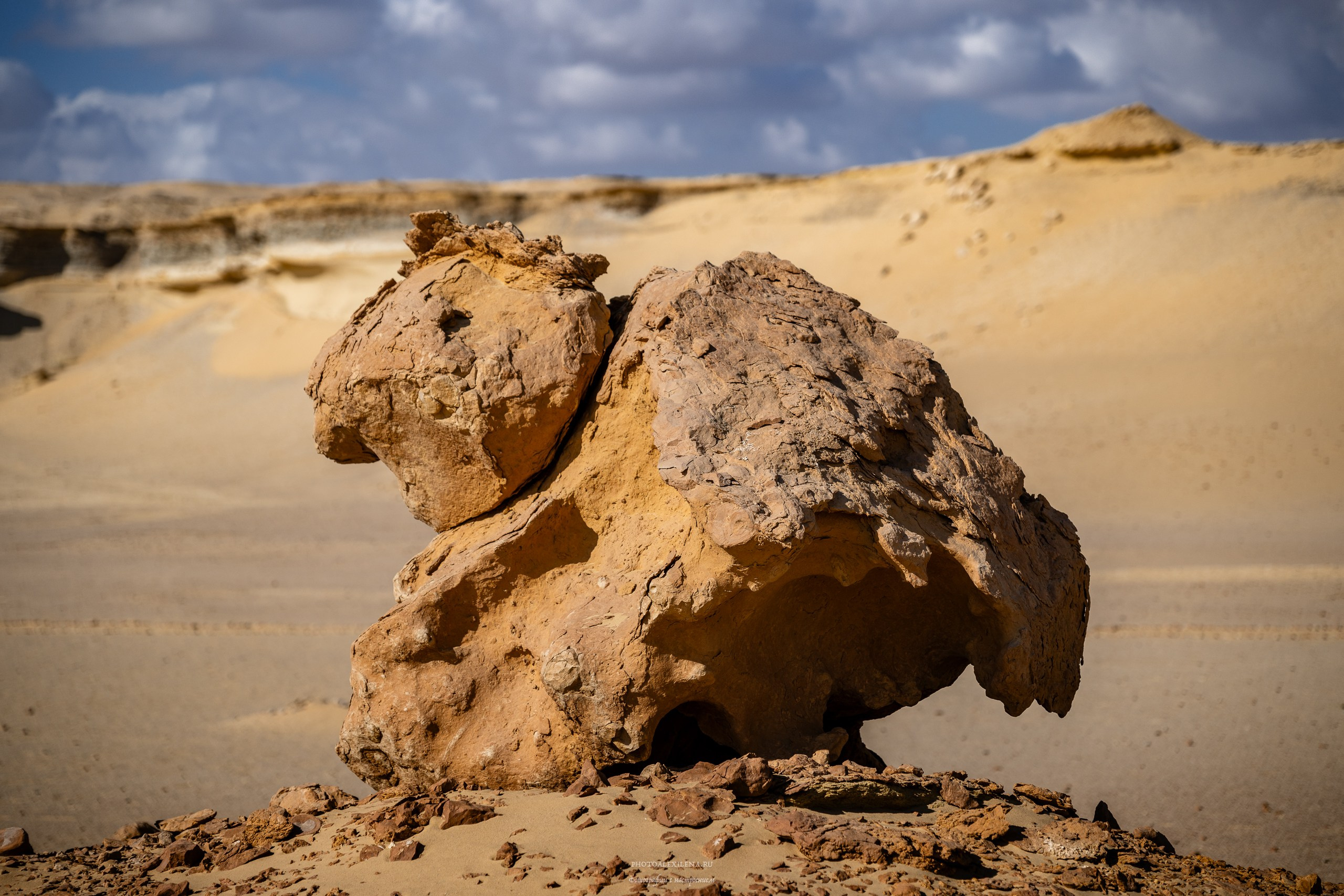 Снова в пустыню, за скелетами…. Авторские стильные фотокартины