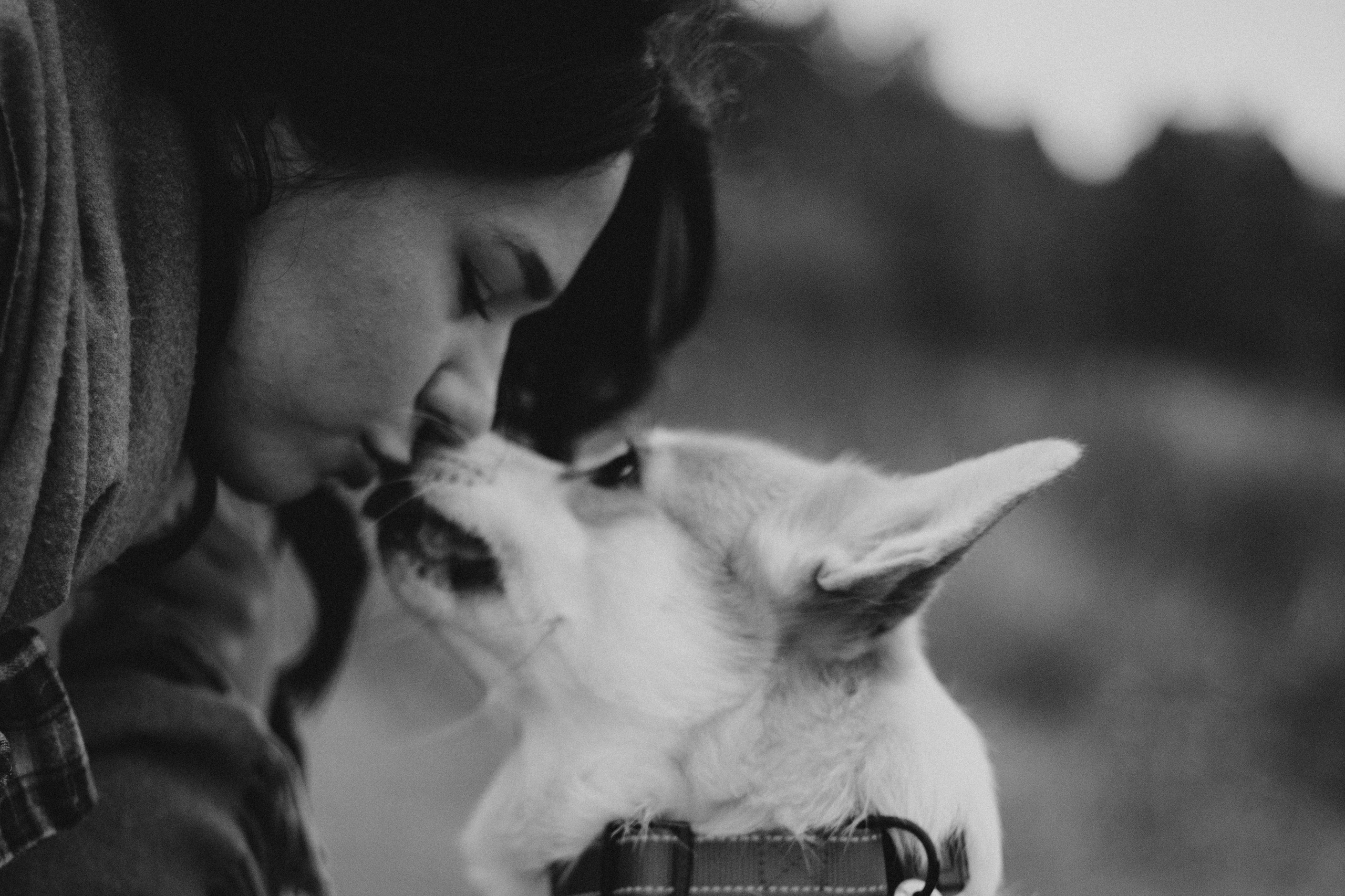 Настя, Никита и Мерси. Семейный и детский фотограф Красноярск Иркутск Денк Анна