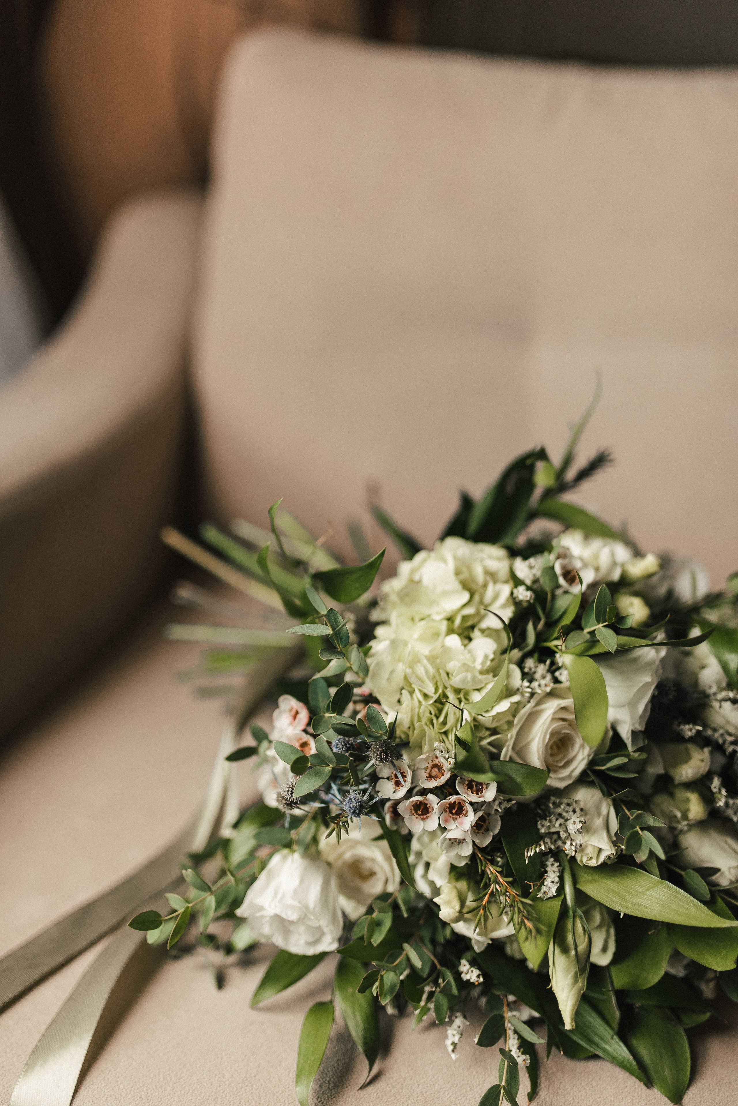 Зимний сад. Фотограф Гилярова Злата Белгород