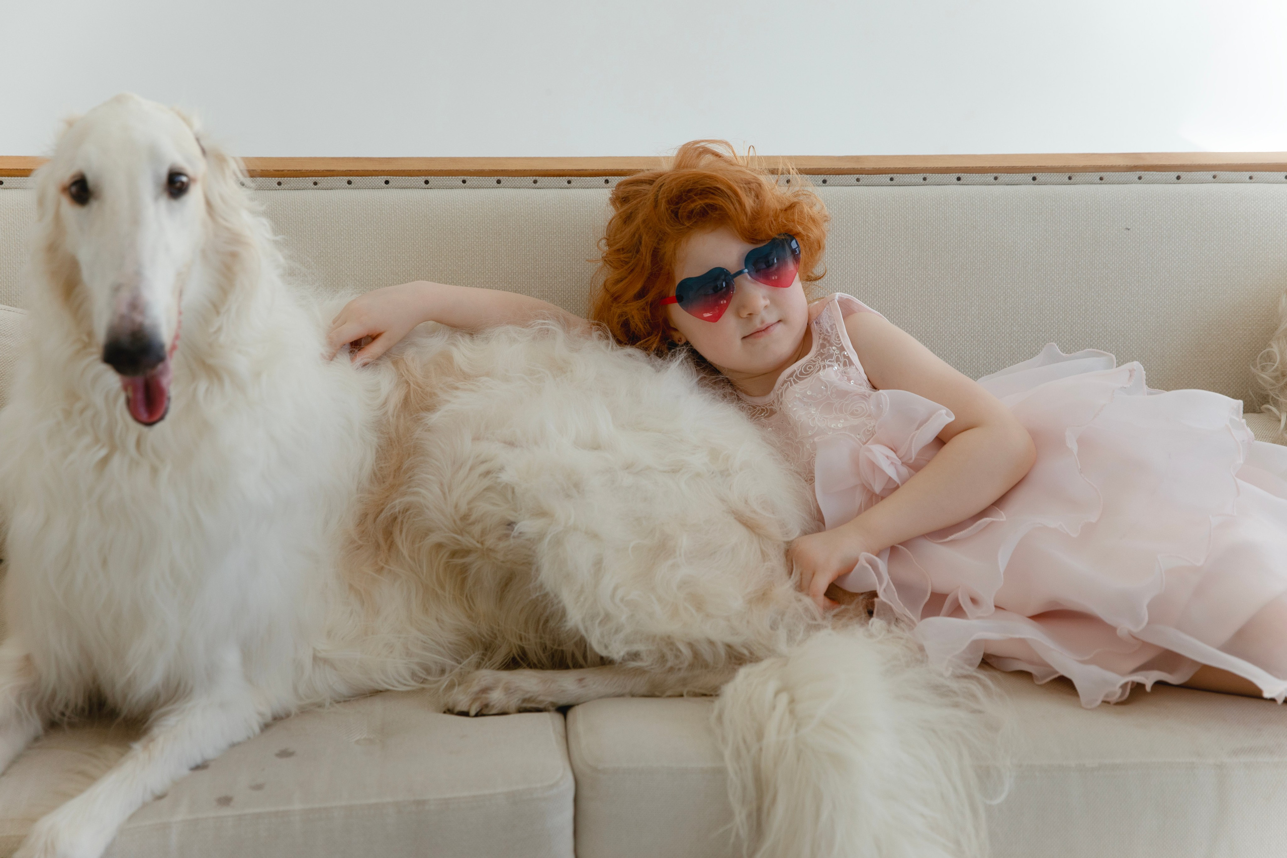 Фотосессия Софа и огромная борзая. Фотограф новорожденных, детский фотограф  Москва.Семейная съемка Москва. Семенова Анна