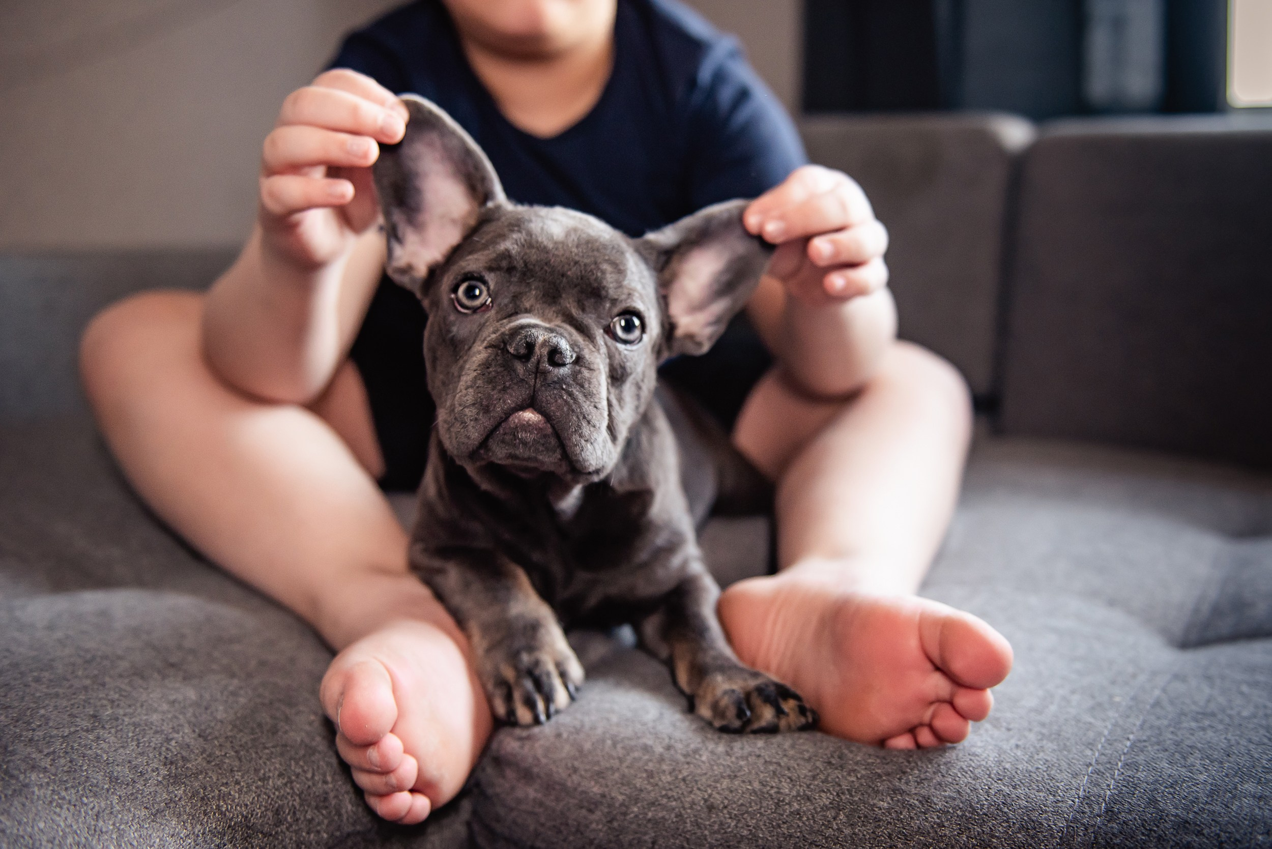 Бульдоги и компания. Семейный Фотограф в Москве Ирина Хохлова