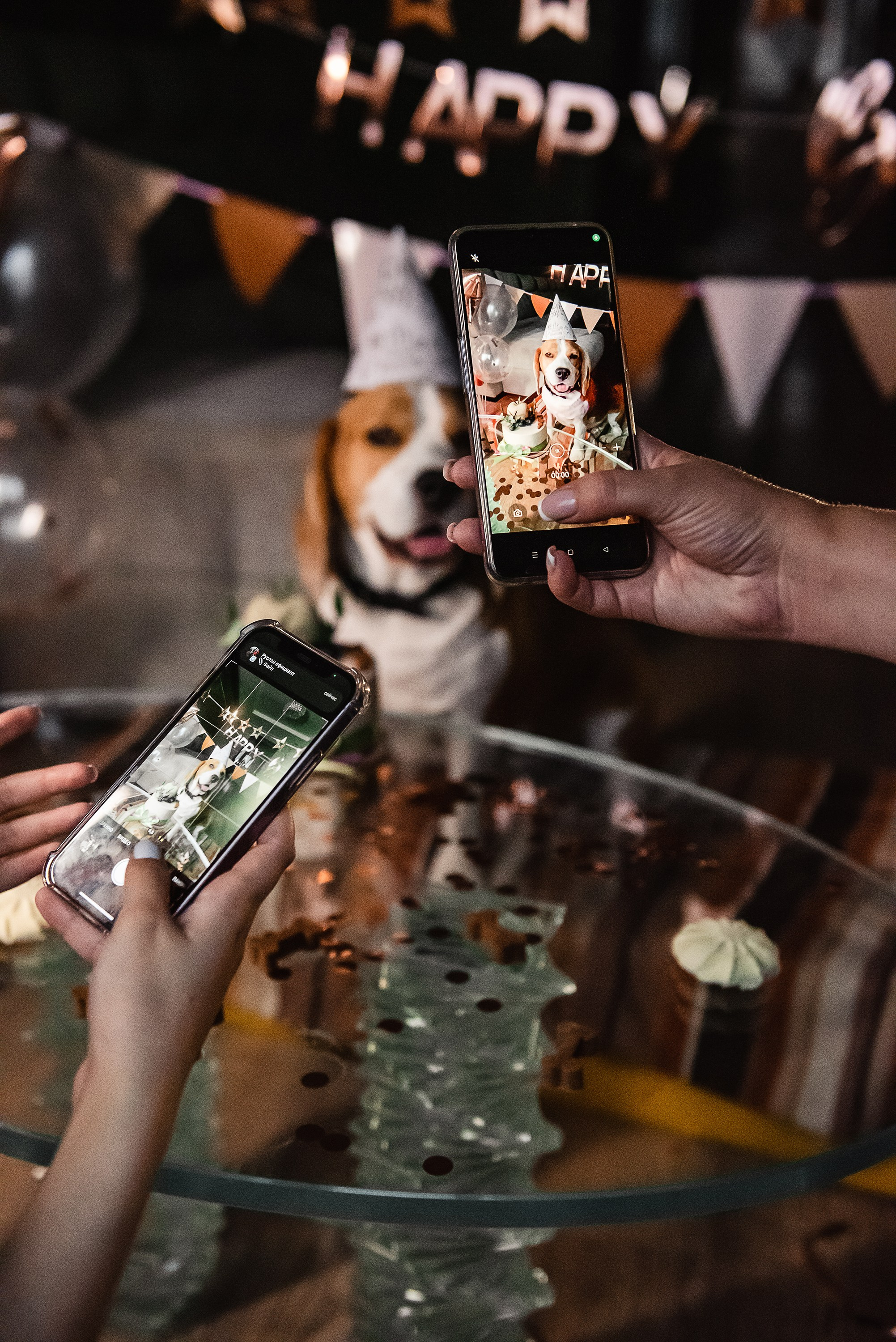 День рождение Дарси. Семейный Фотограф в Москве Ирина Хохлова