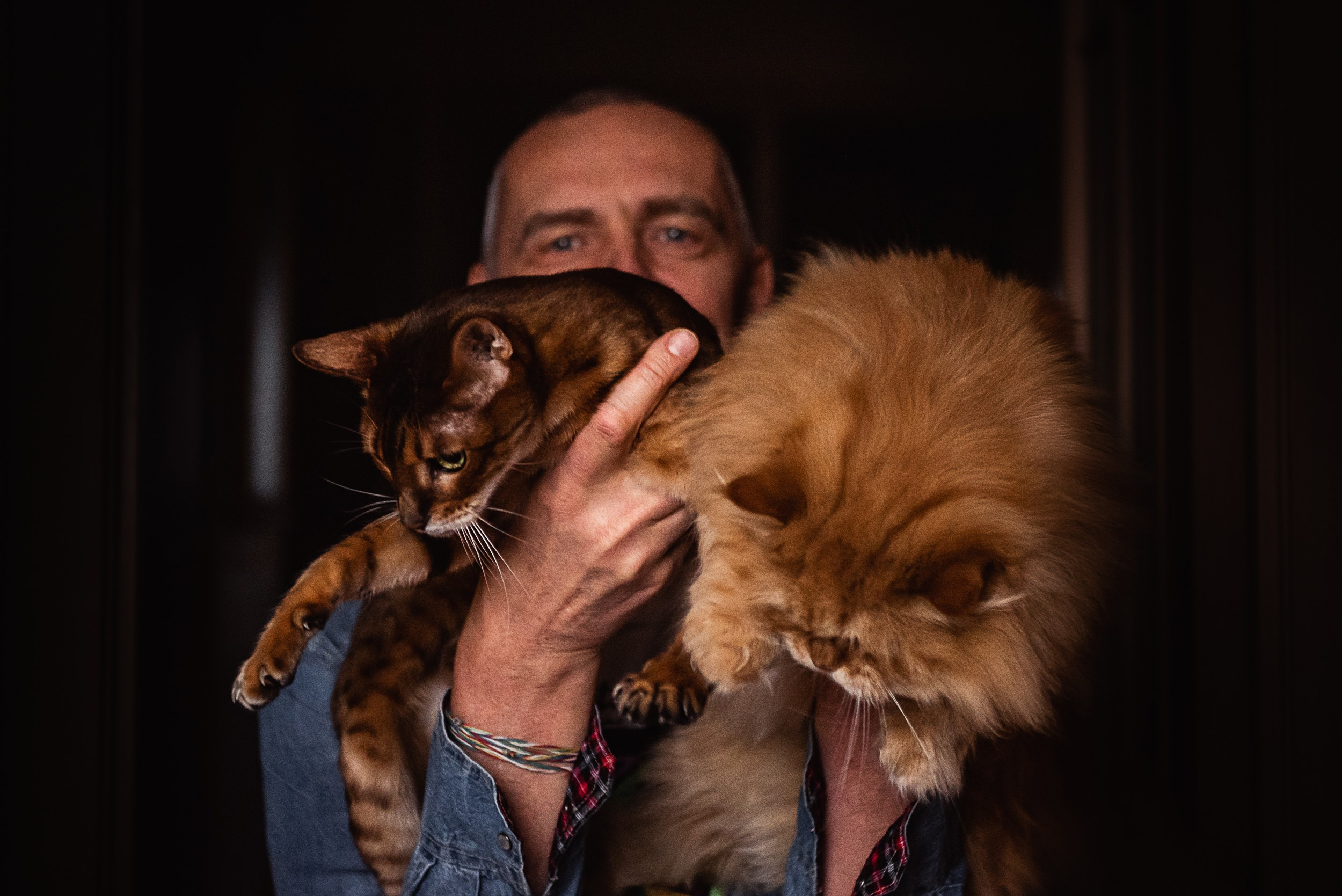 Квартира с картинами. Алиса, Андрей и их пушистая семья. Семейный Фотограф в Москве Ирина Хохлова