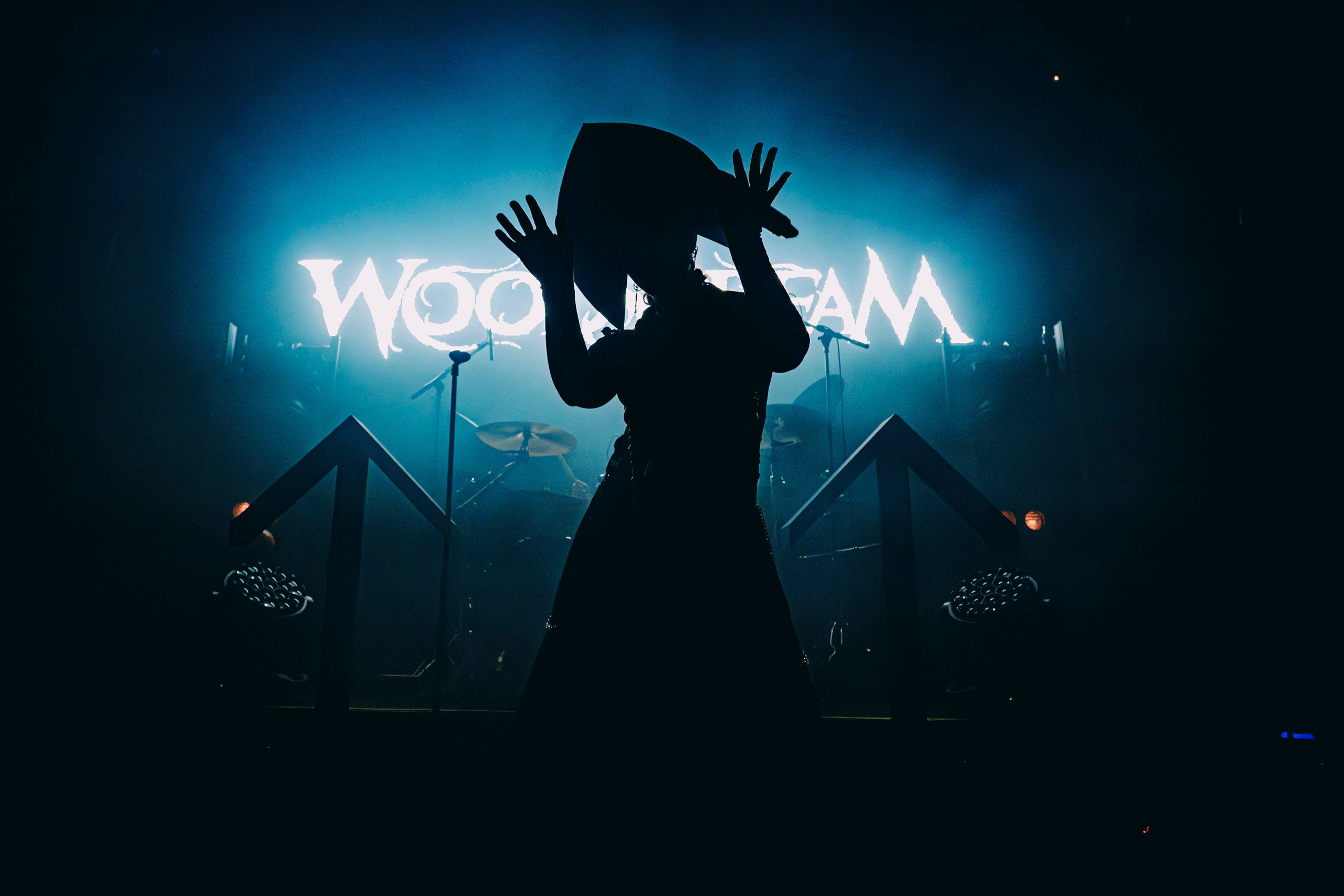 Woodscream, Москва. Арсений Виноградов: концертная и репортажная фотография