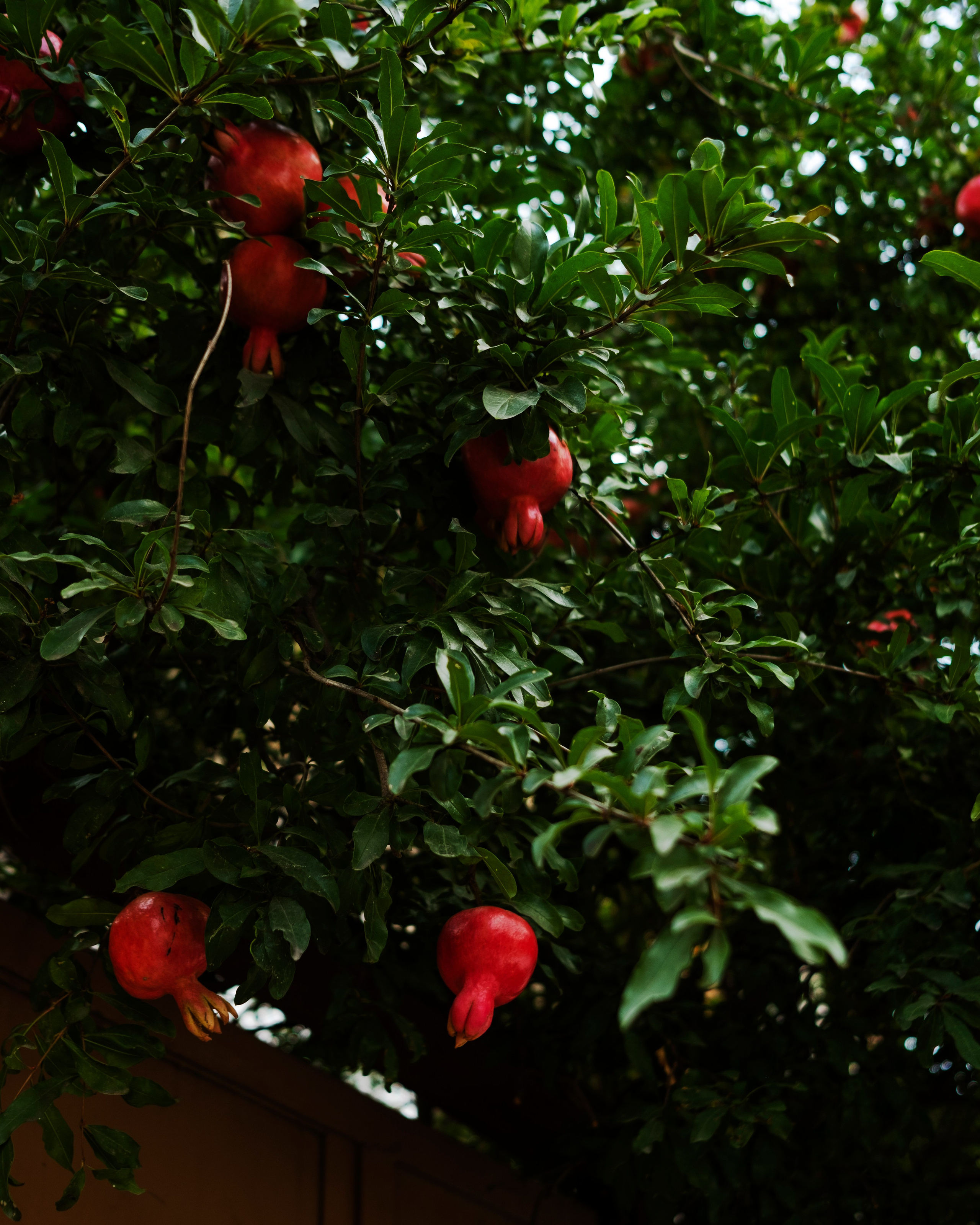 Тбилиси, 2024. Портретный фотограф в Москве Евгения Яковенко