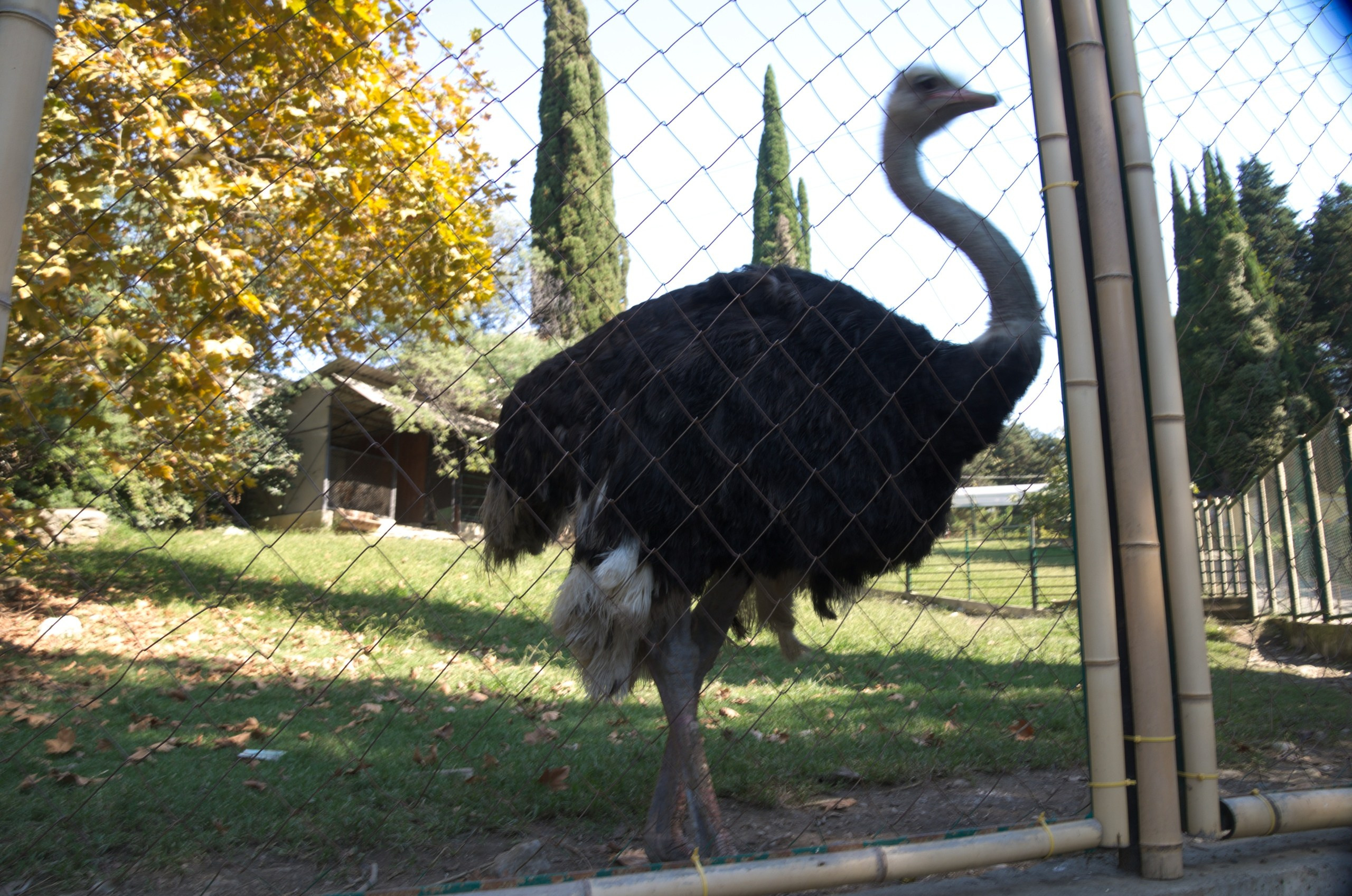 Сочи | 05-06.10.2019. Галерея Фантим