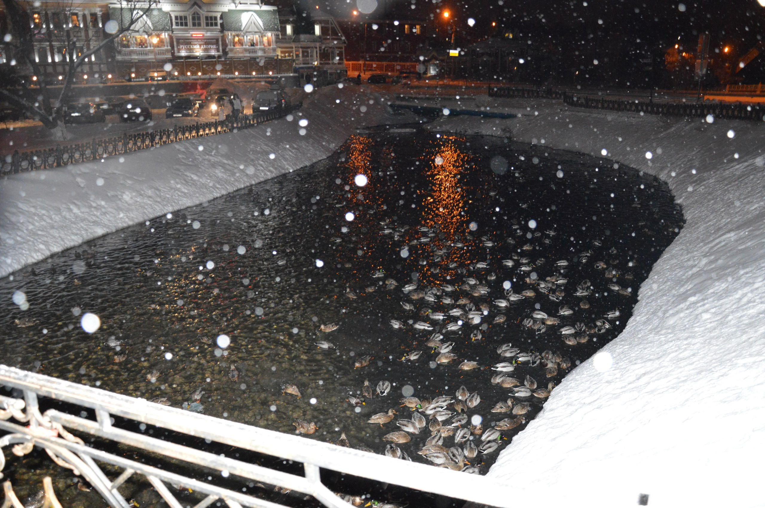 Сергиев Посад | 11.12.2016. Галерея Фантим