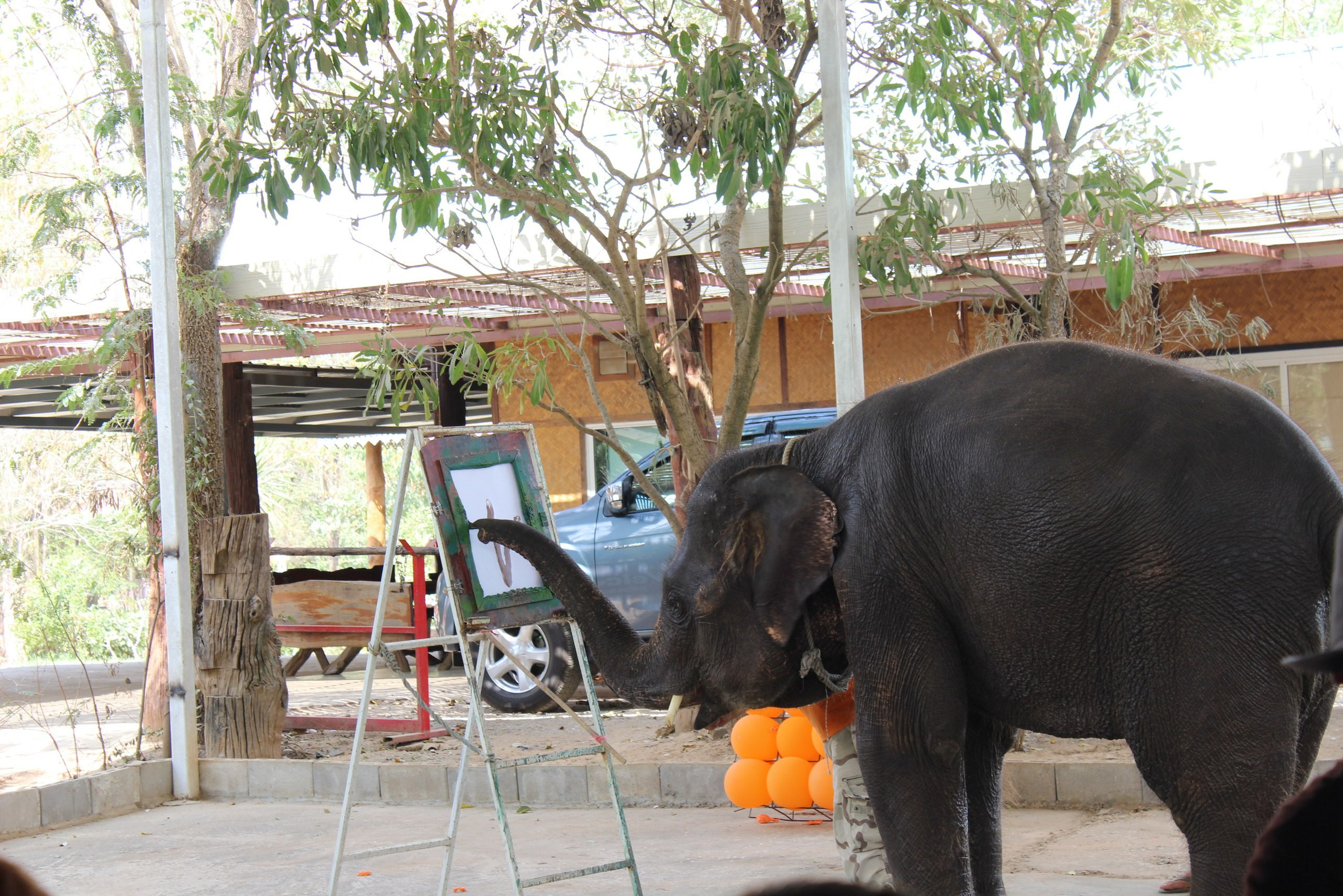 Таиланд |10-25.02.2018. Галерея Фантим