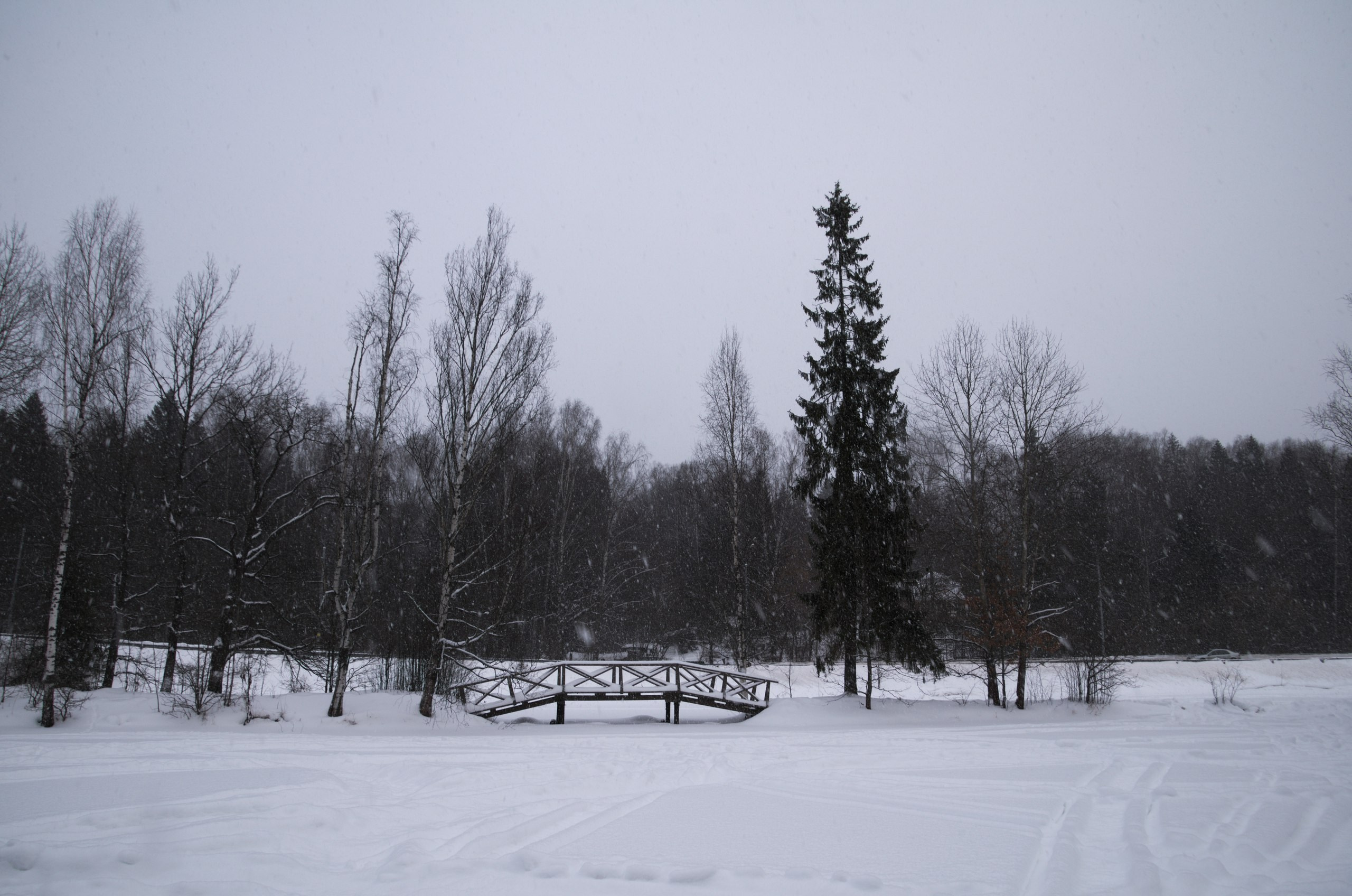 Сергиев Посад | 11.12.2016. Галерея Фантим
