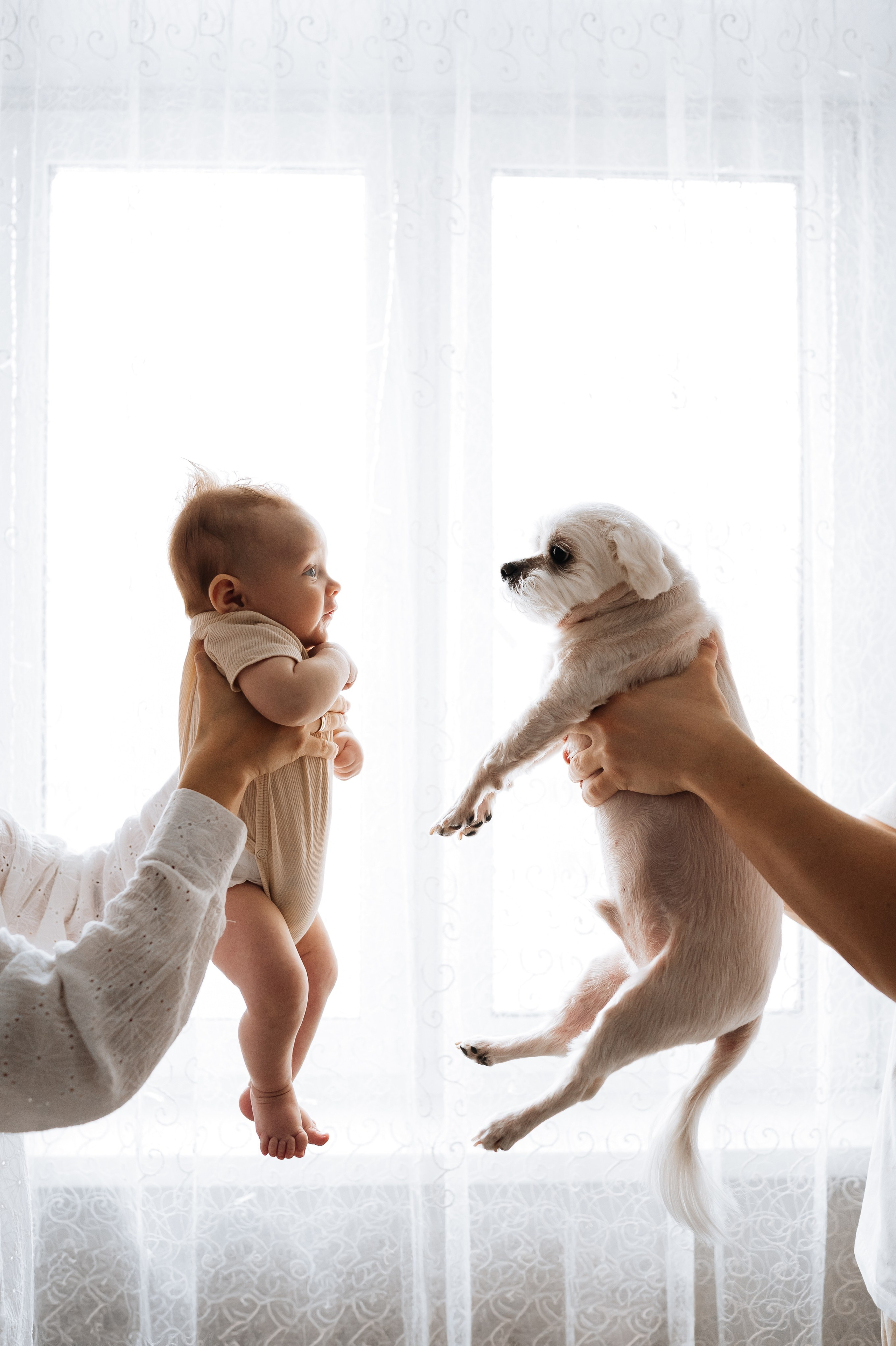 История 2. Свадебный Фотограф Челябинск Уфа Егорова Анастасия