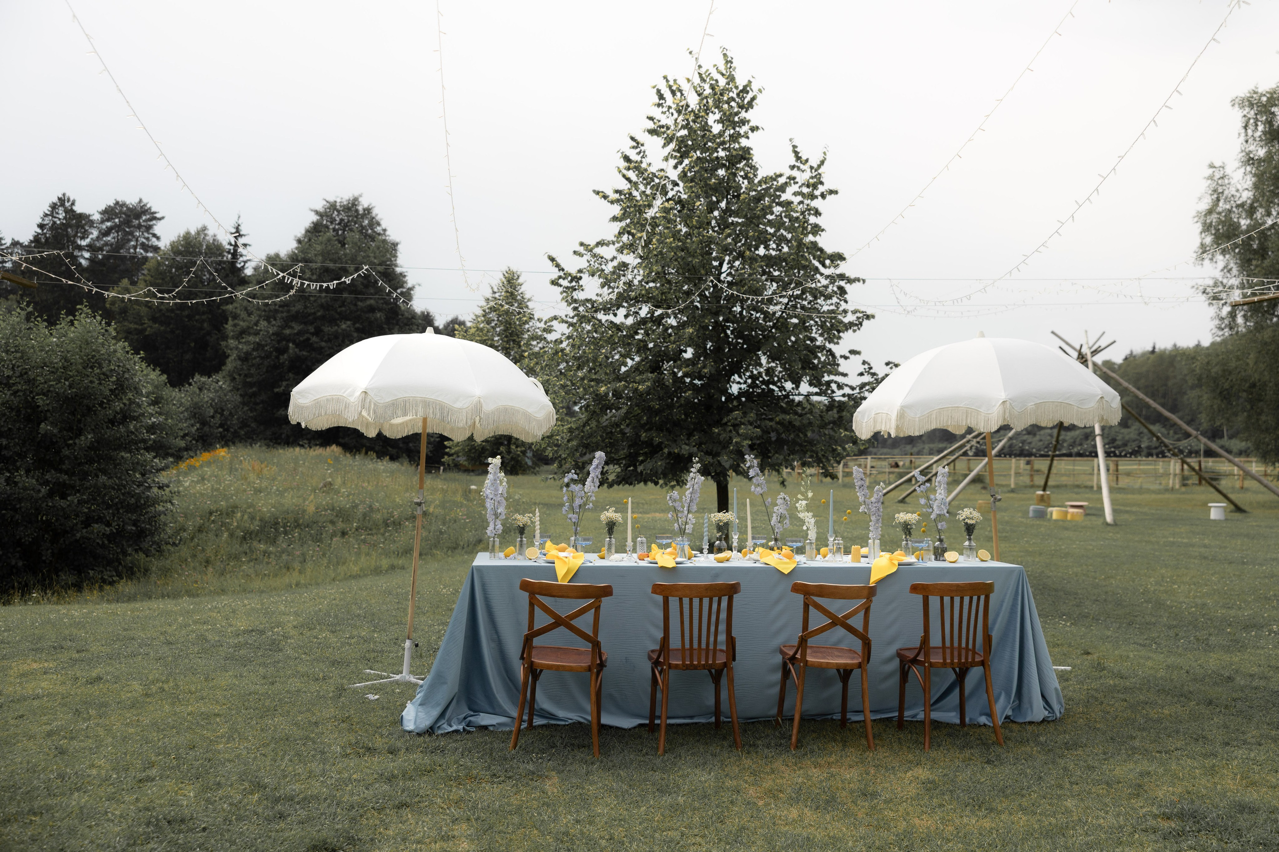 Артур и Таисия. Свадебный фотограф Тула Москва СПБ / Сёмина Дарья