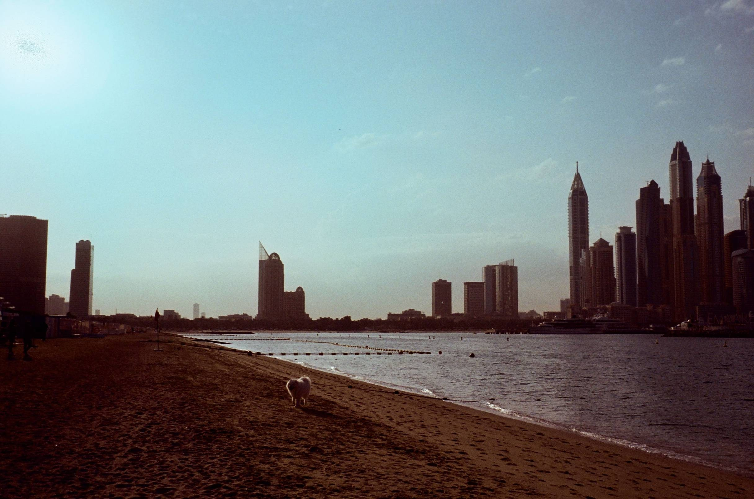 Places. TATIANA DARINA — film photographer in St. Petersburg