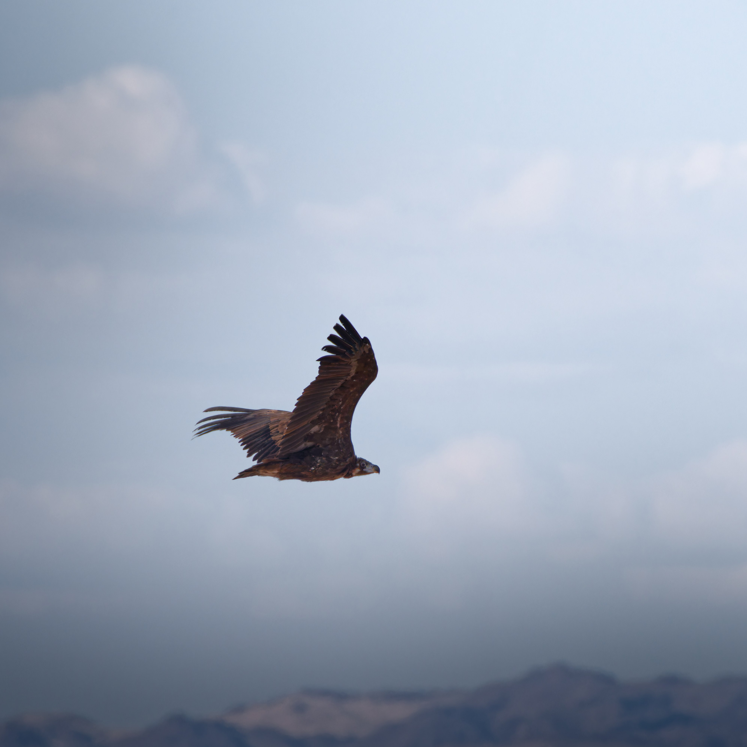 Экспедиция в Монголию (Гоби). Семоха Валерий. Фотограф