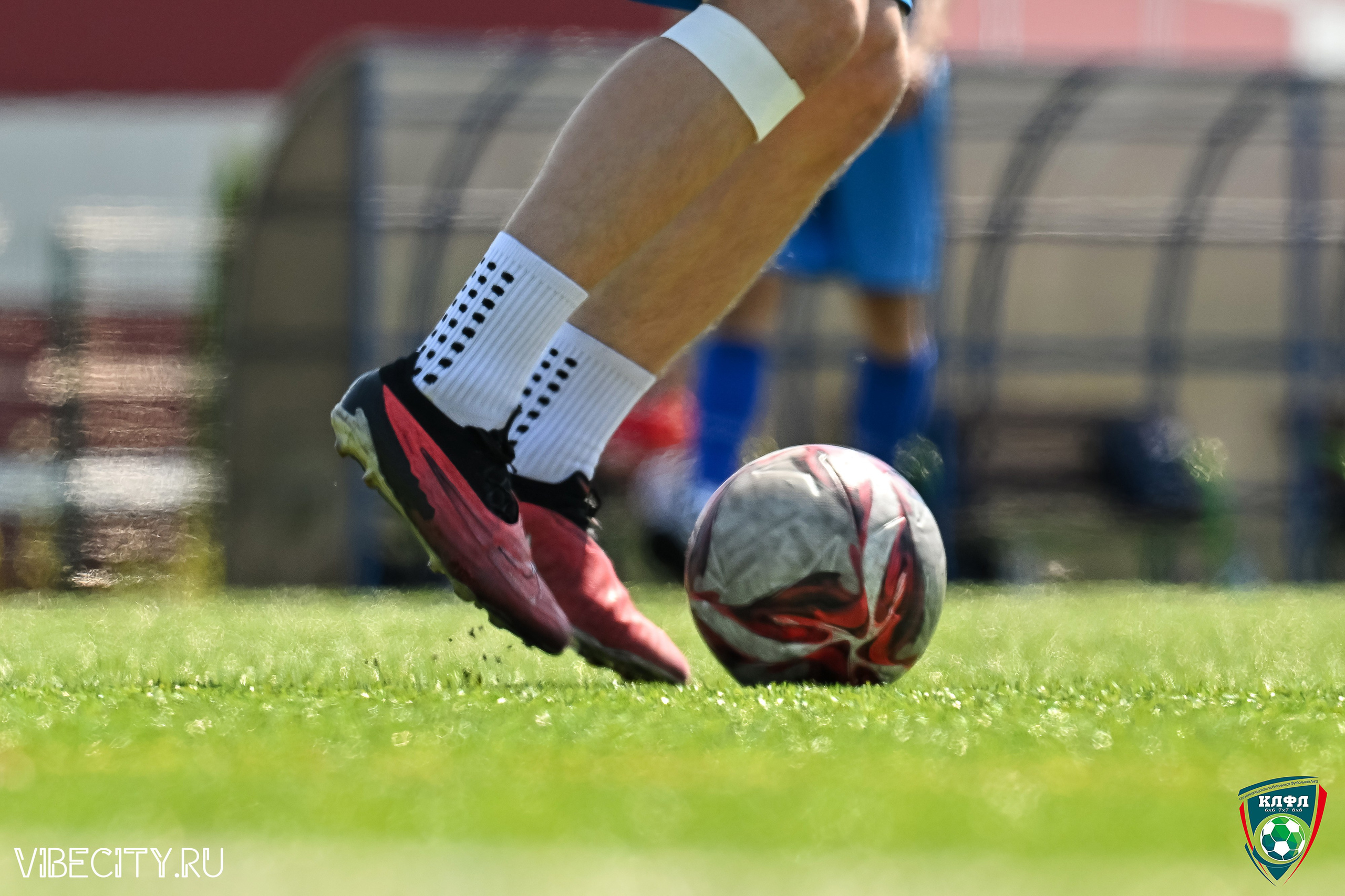 Чемпионат России по мини-футболу. VIBECITY.RU Вайб Сити Ру Фоторепортажи Фотоотчеты Калининград