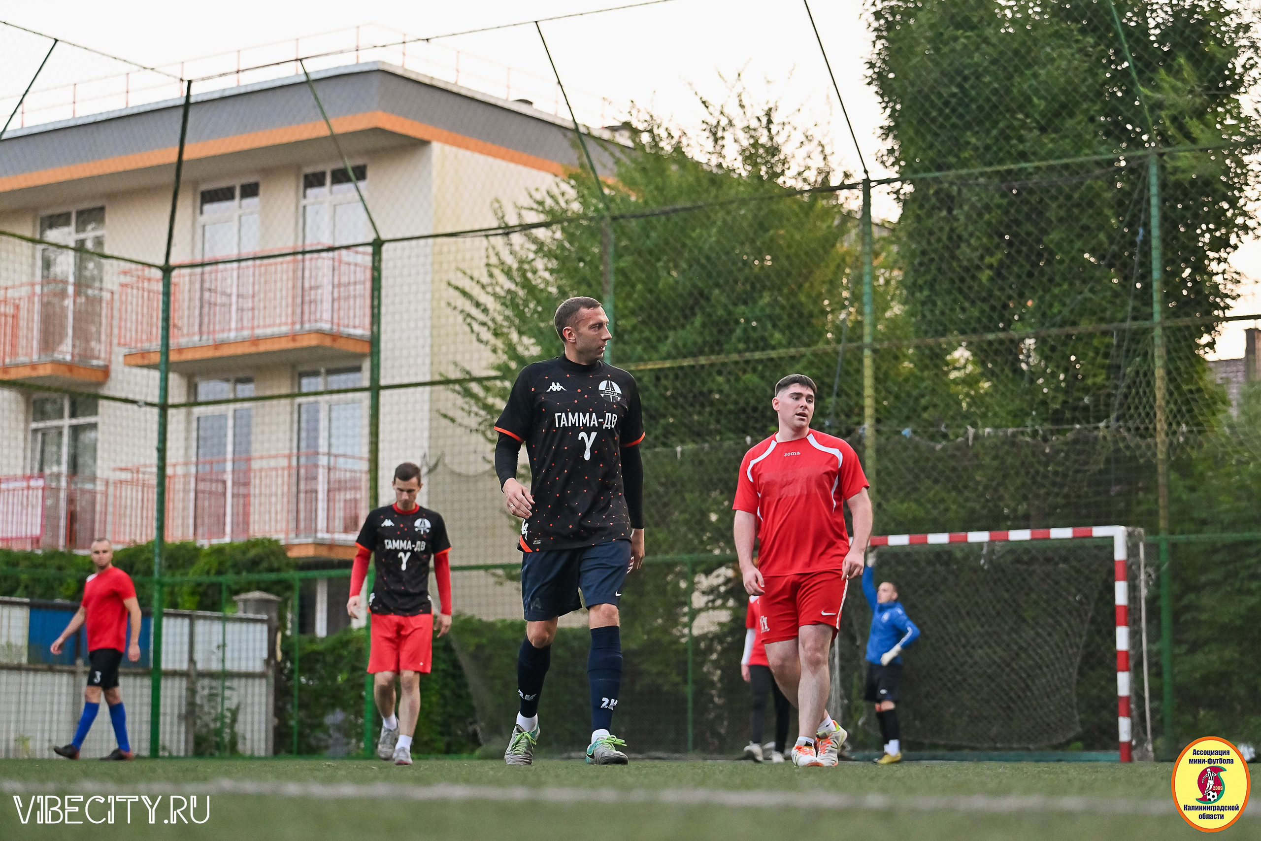 ИГРЫ ПЛЕЙ-ОФФ ПЕРВОГО ДИВИЗИОНА МИНИ-ФУТБОЛЬНОЙ ЛИГИ. VIBECITY.RU Вайб Сити Ру Фоторепортажи Фотоотчеты Калининград