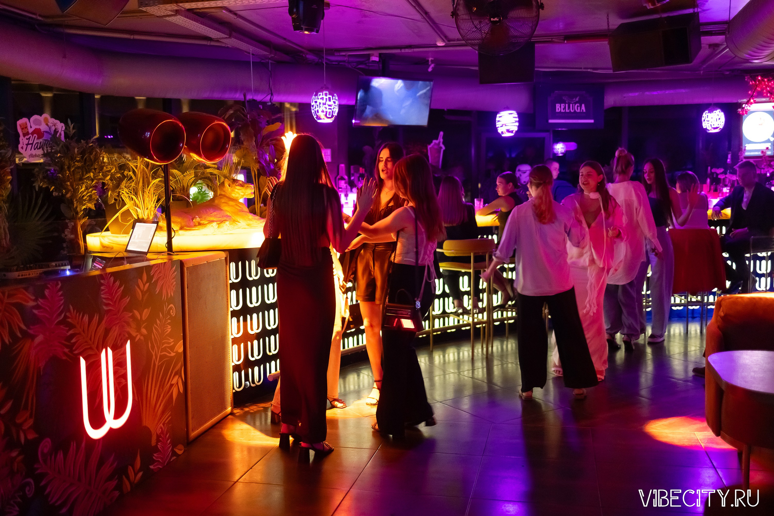 DOUBLE U. VIBECITY.RU Вайб Сити Ру Фоторепортажи Фотоотчеты Калининград