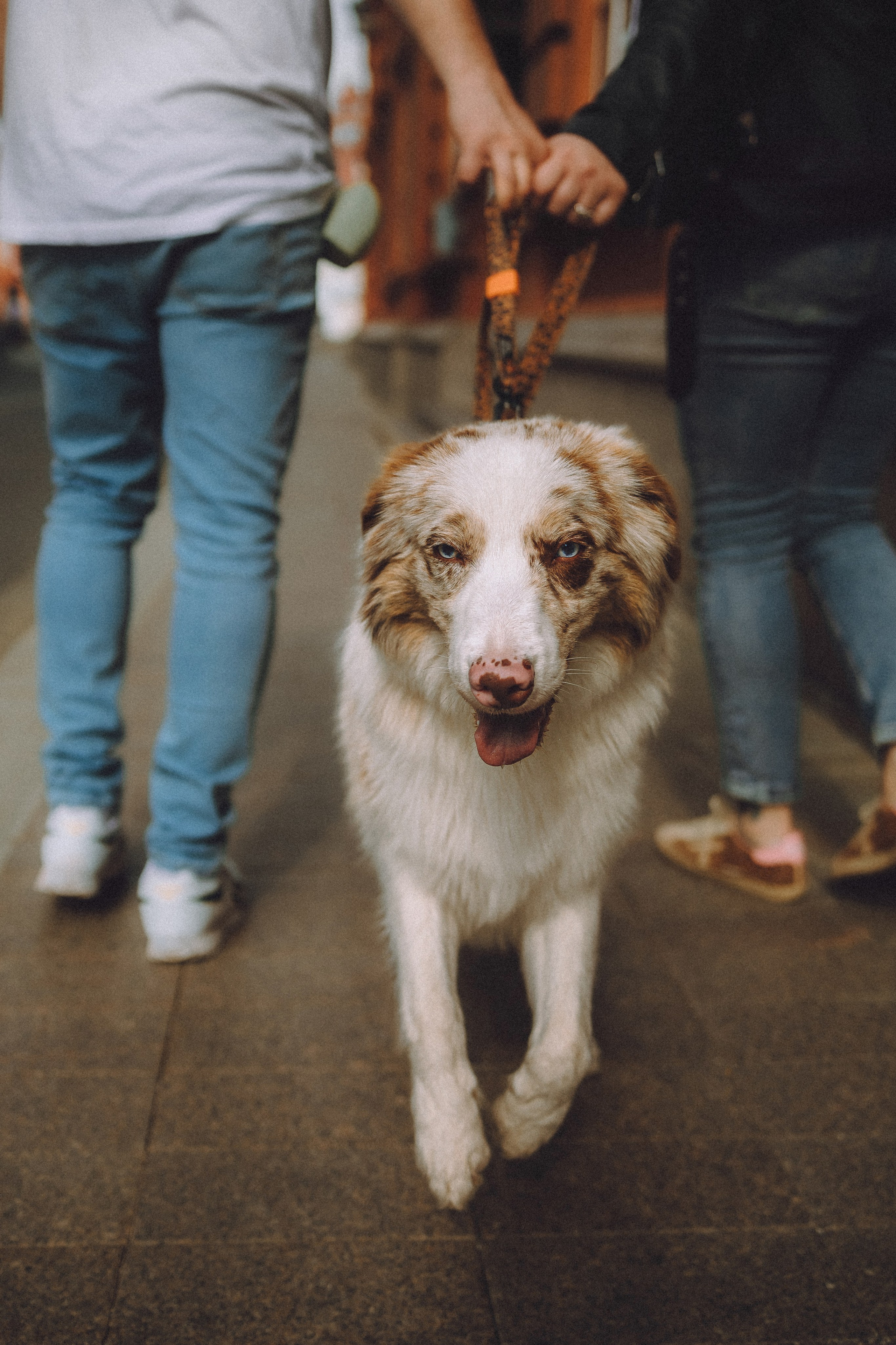 Один и его семья