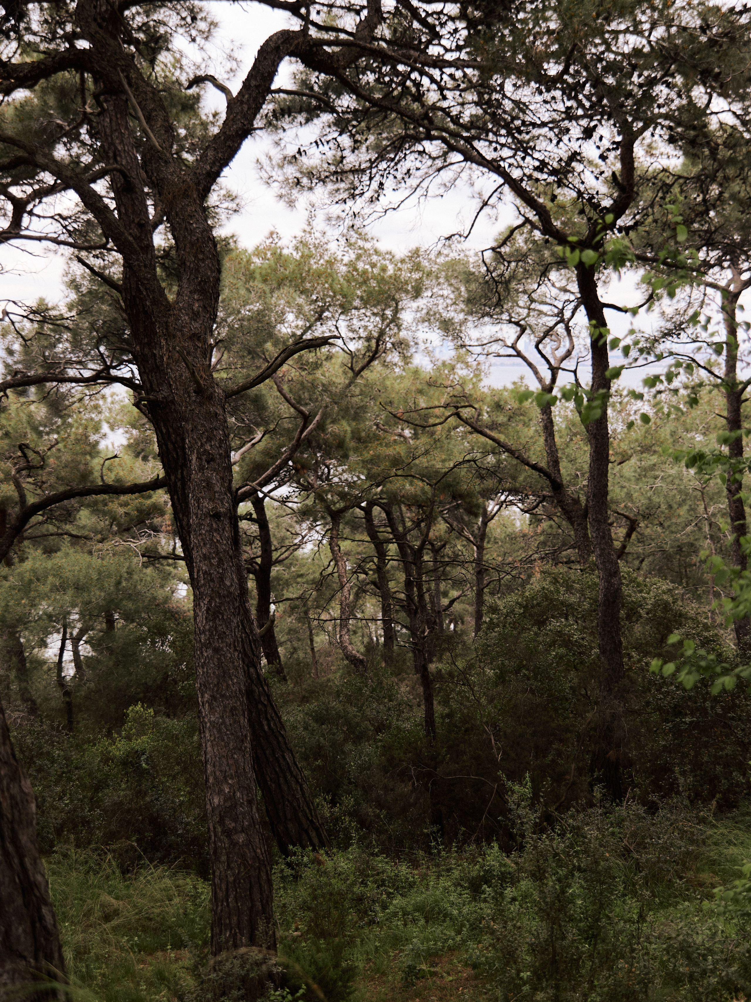 Природа. Jorgis Talè — photographer, kind person, teacher of arts and other mag