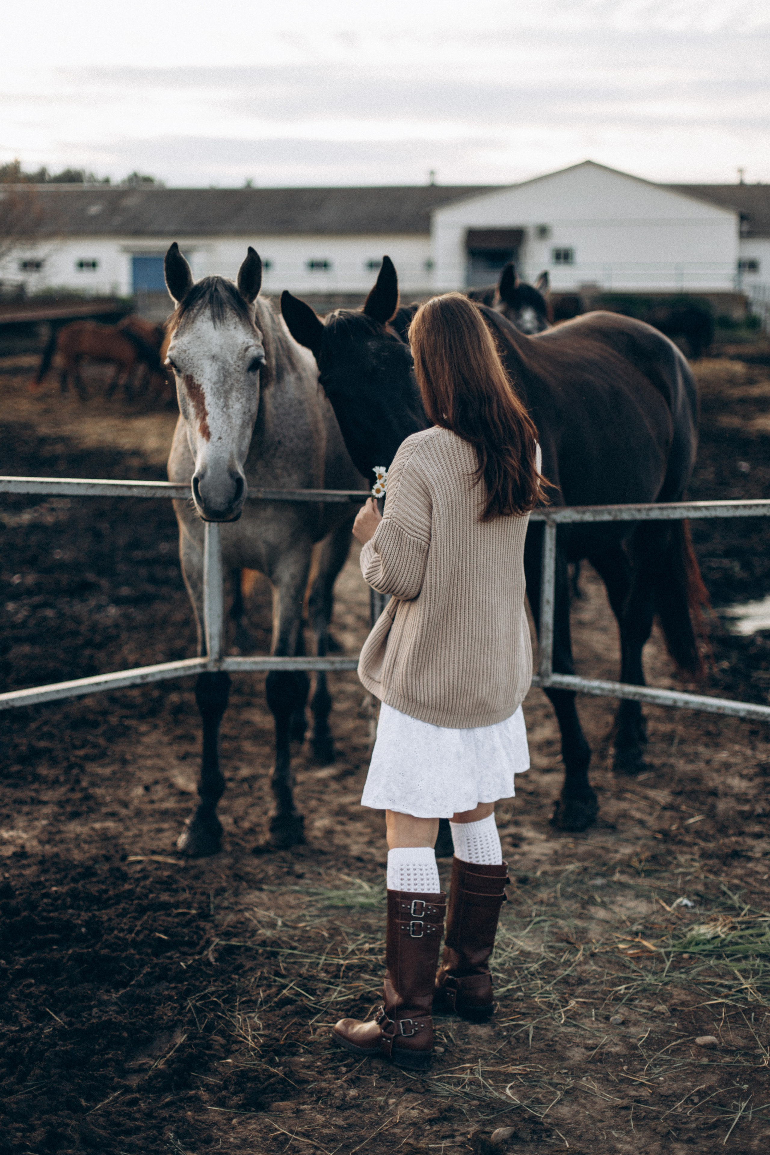 Что-то на закатном. Репортажный и детский фотограф в Минске