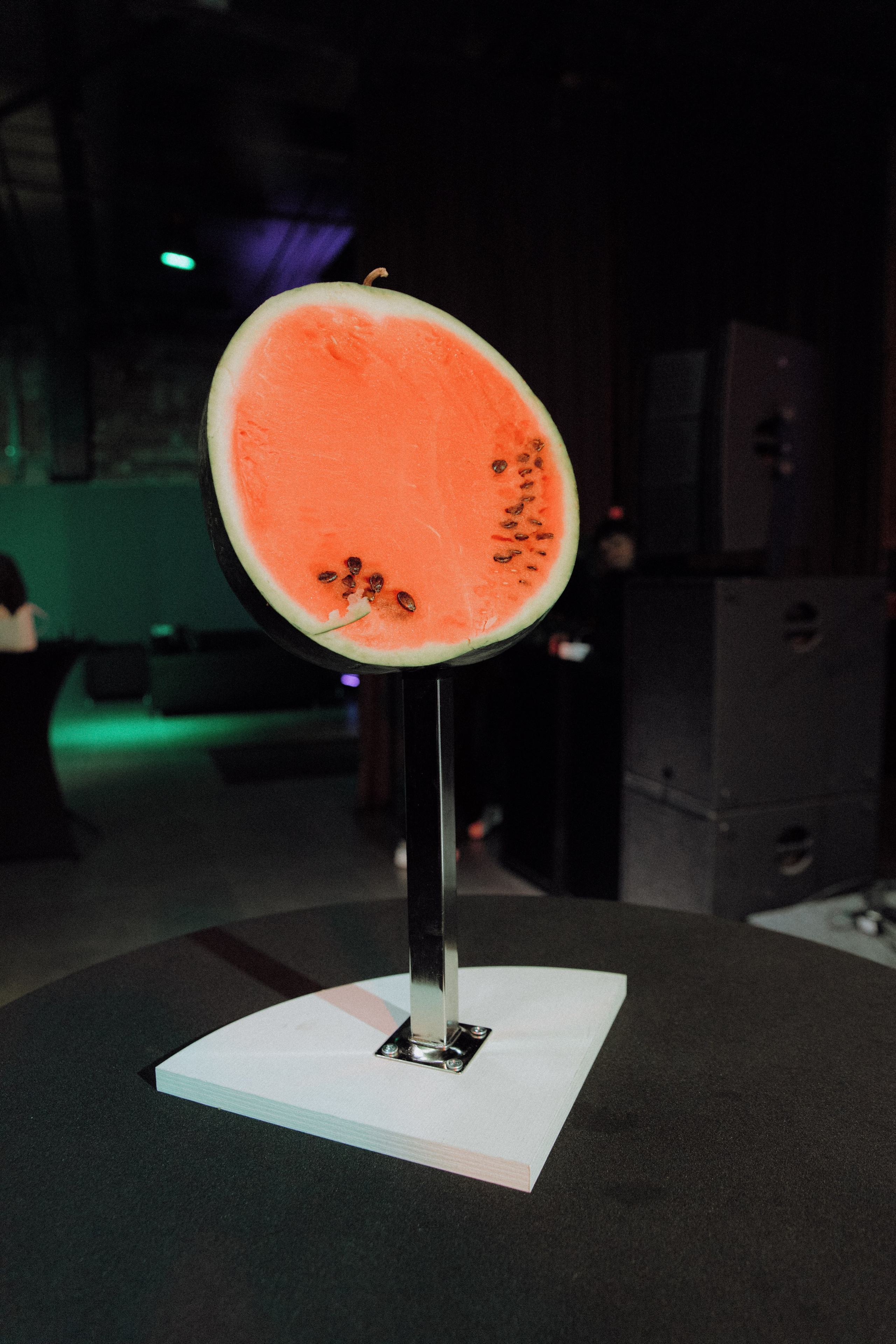 BelkaCar 8 лет. Свадебный и репортажный фотограф