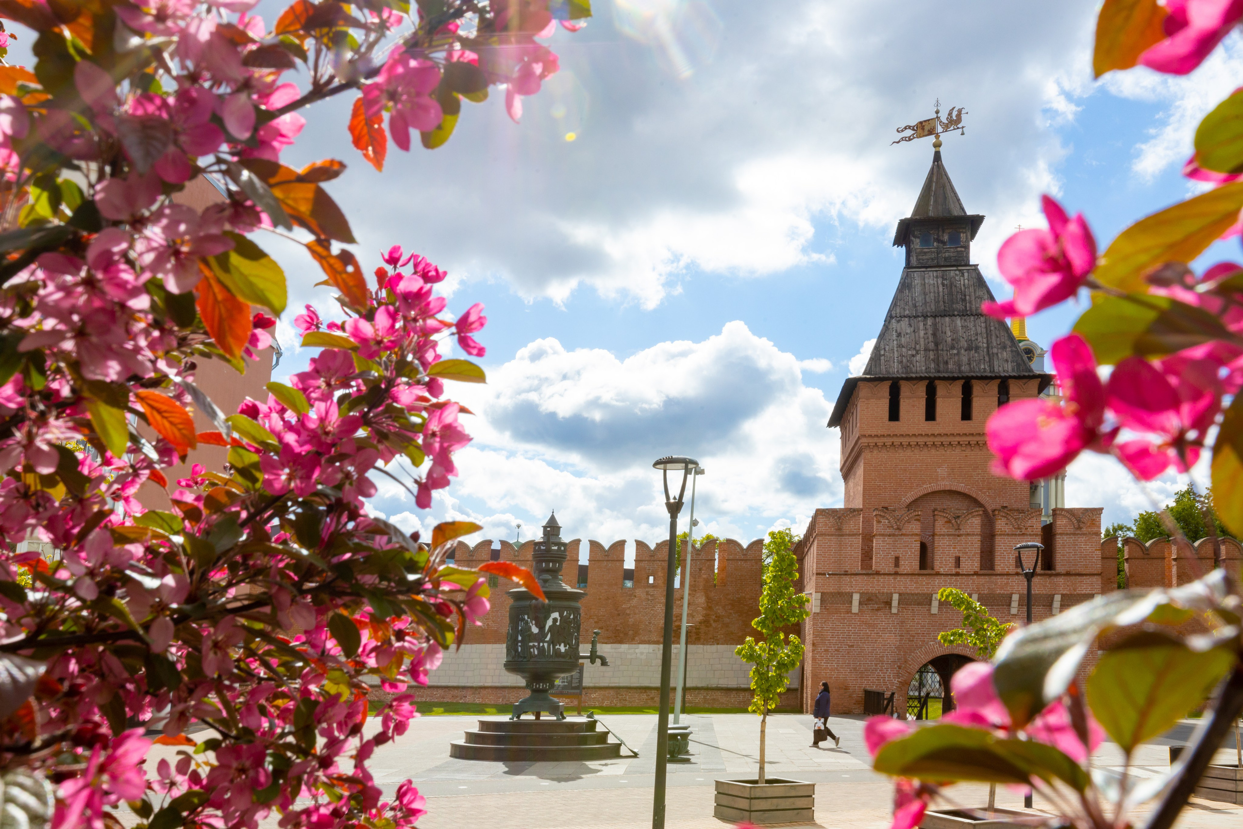 Весеннее цветение в Туле. Фотограф в Туле Крупский АнДРей. Фотостудия «КАДР71» в Туле