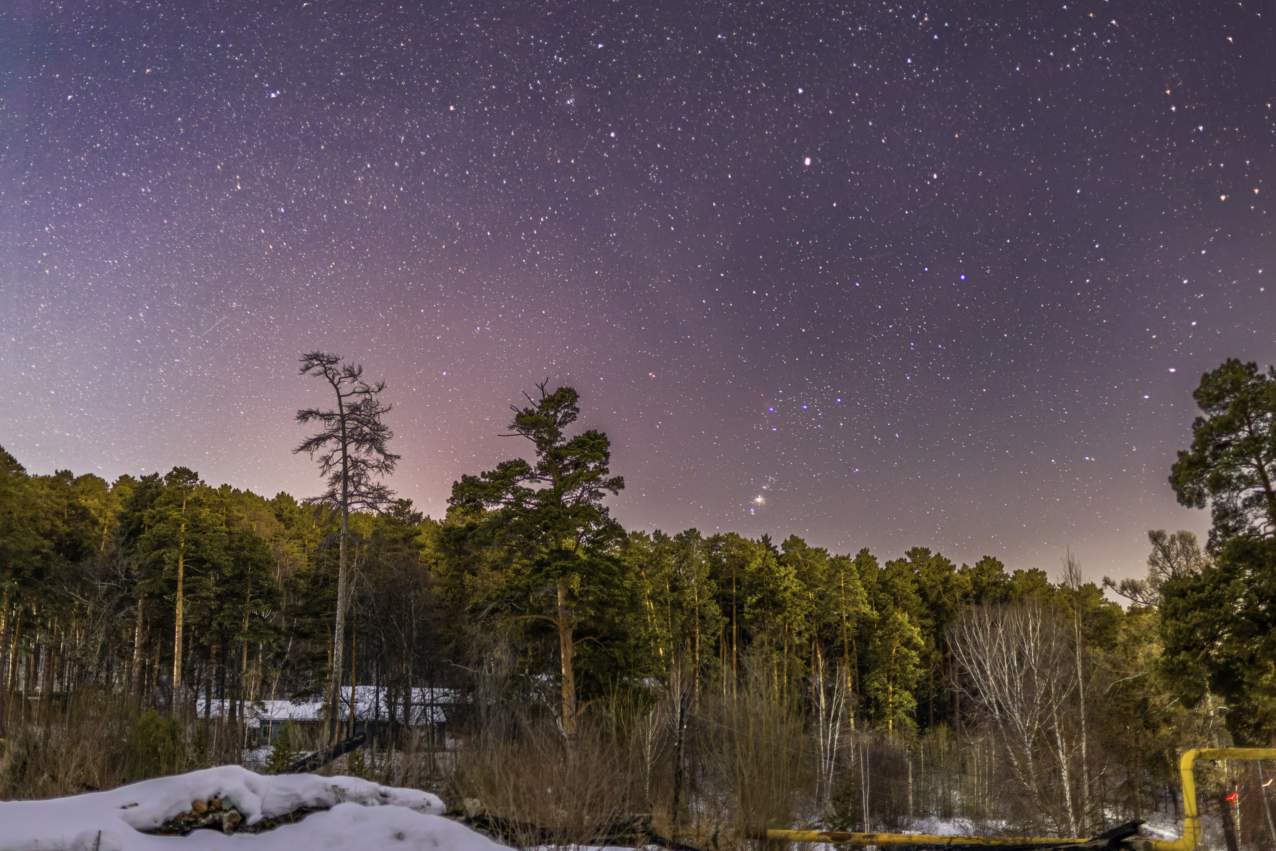 Фотограф Леонид Мартенс