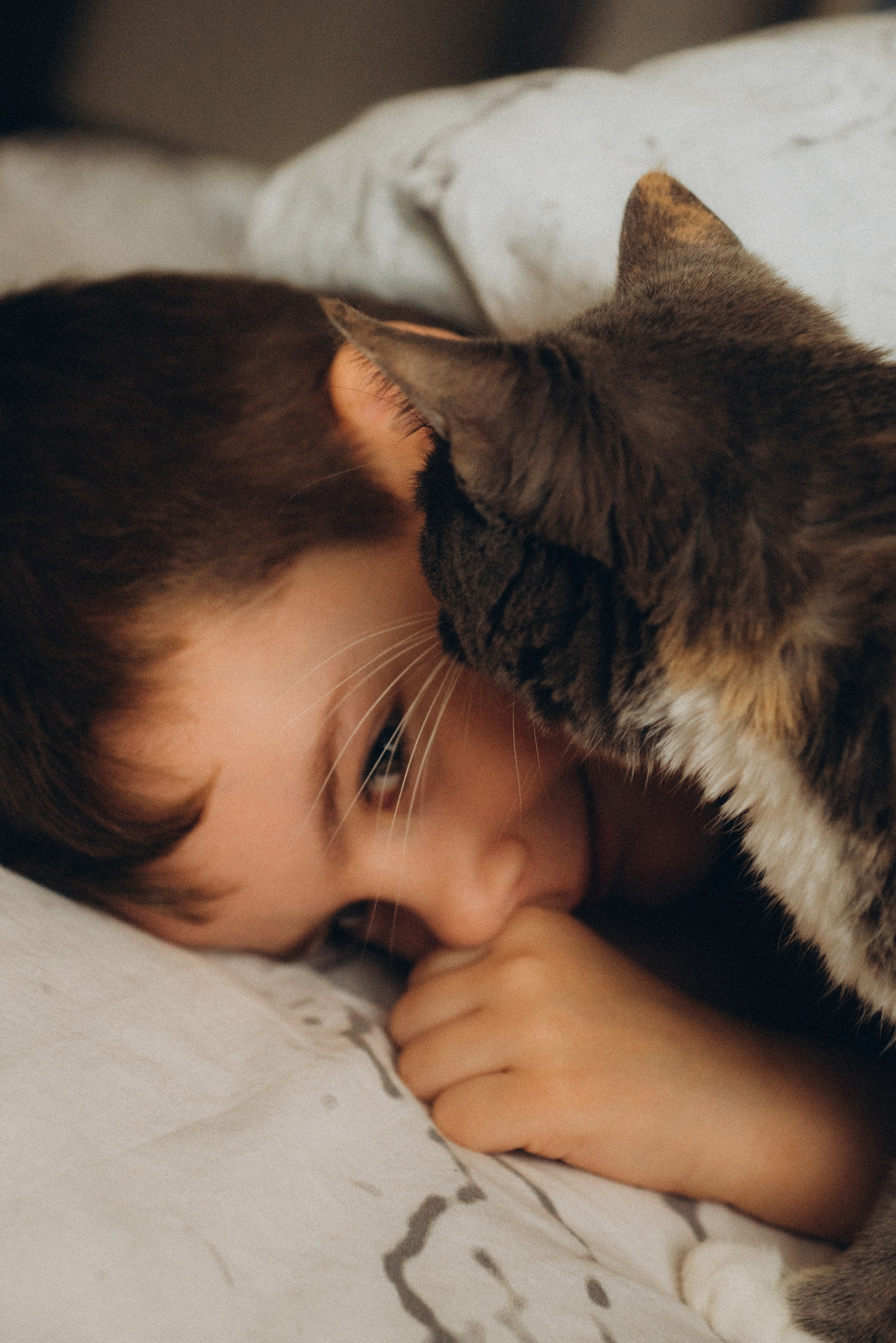 Гриша и Ева. Суханова Регина Фотограф Сергиев Посад