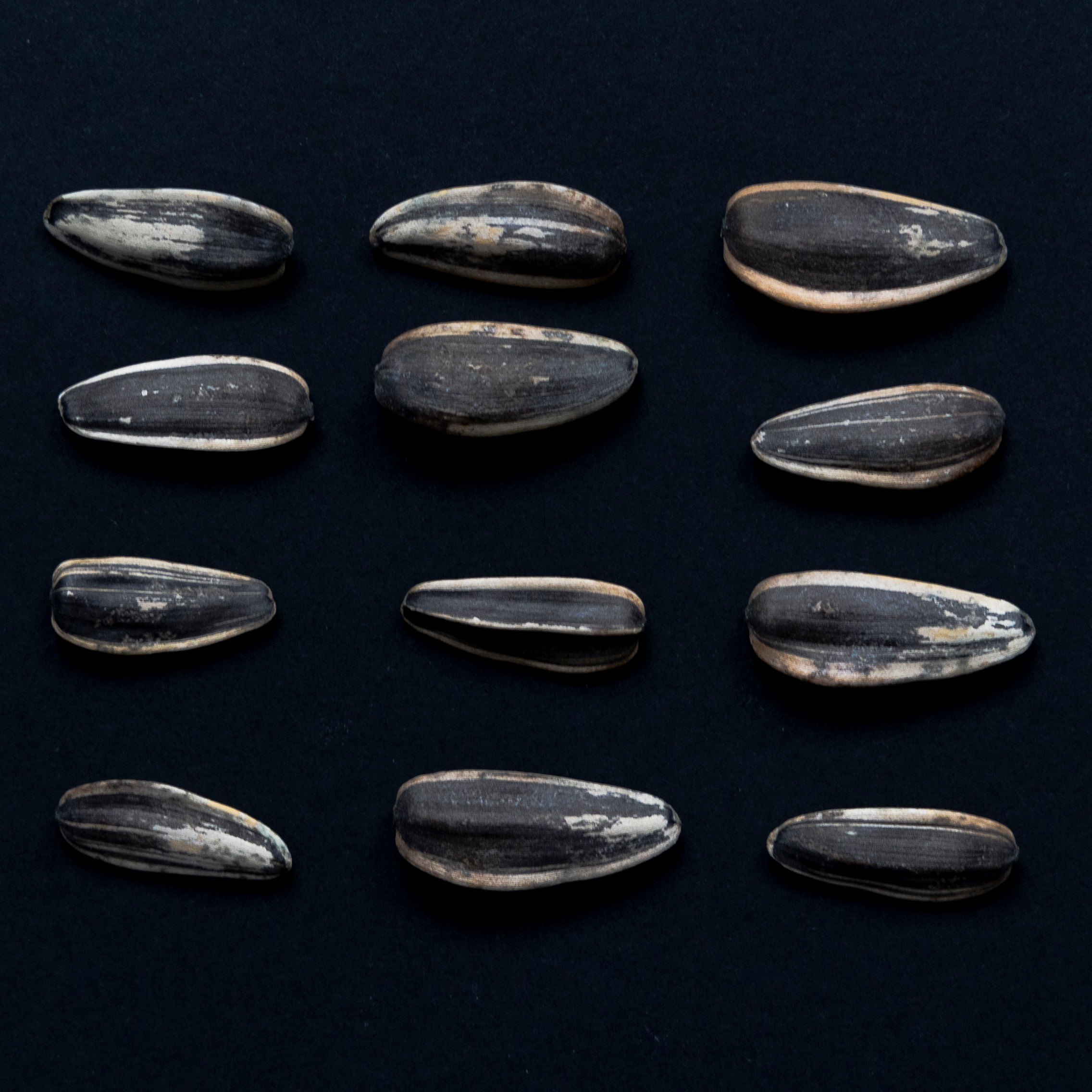 Art prints. Фотограф алина стерхова, алина стерхова фотограф, фотограф москва