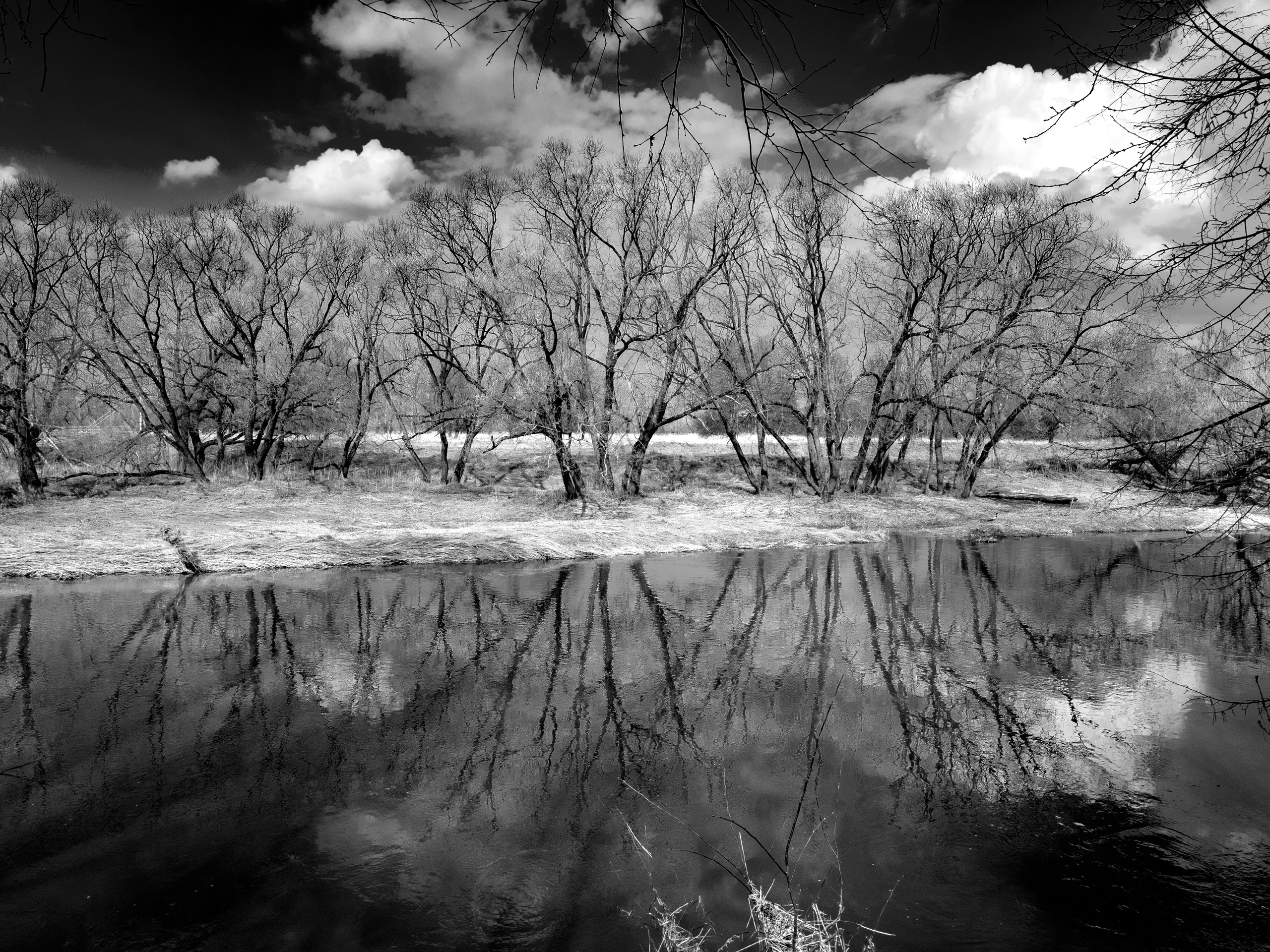 Хулиганизмы. Главная