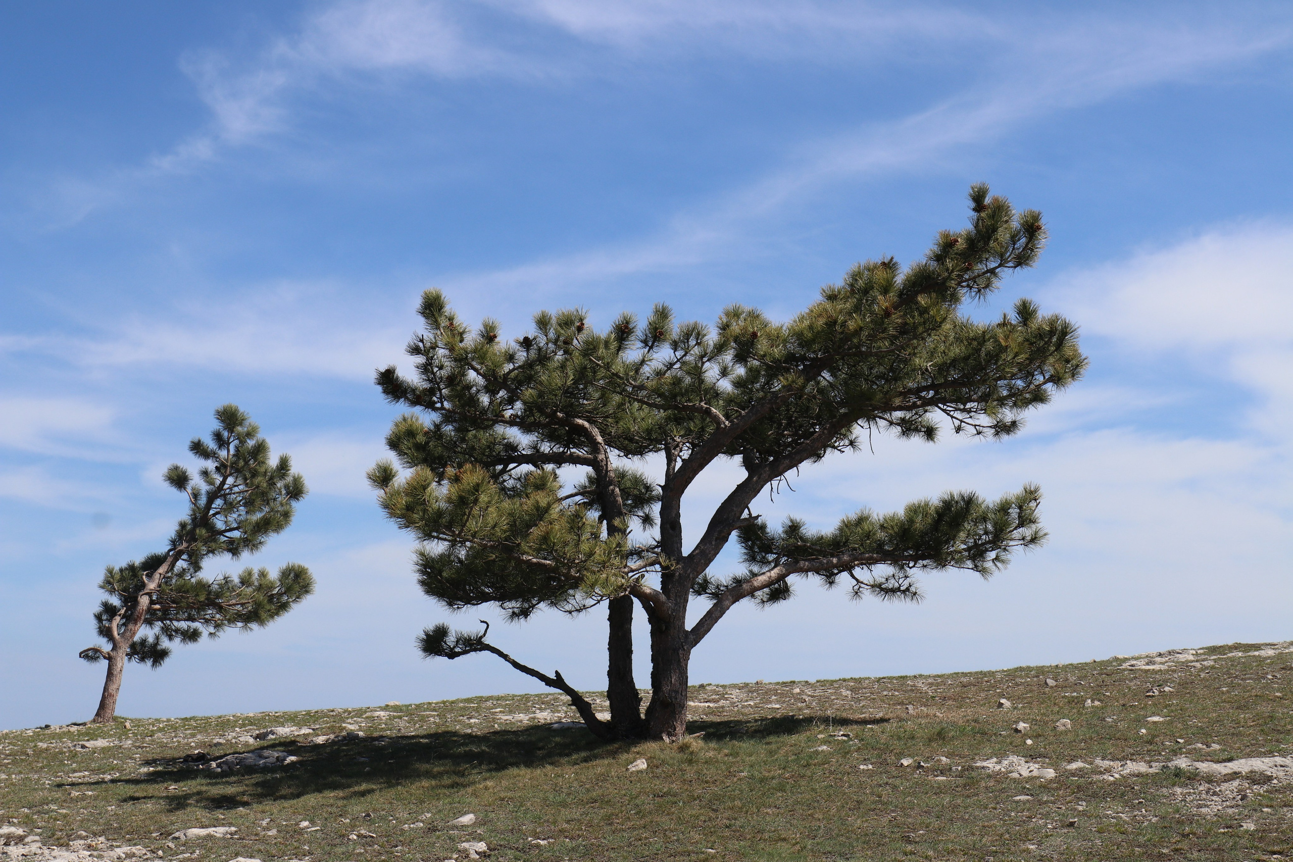 Крым. ЮБК (Бахчисарай, Кастрополь, Таракташская тропа). Май 2021. Путешественник-фотограф из Санкт-Петербурга Татьяна Свистулина