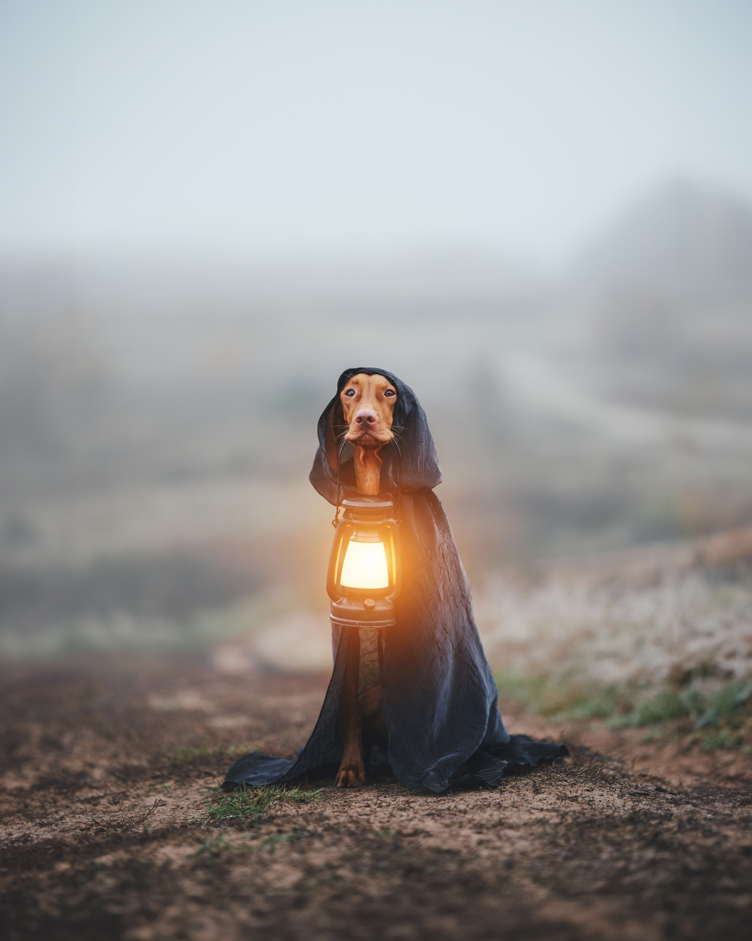 Трисс. Фотограф анималист Осипчикова Мария