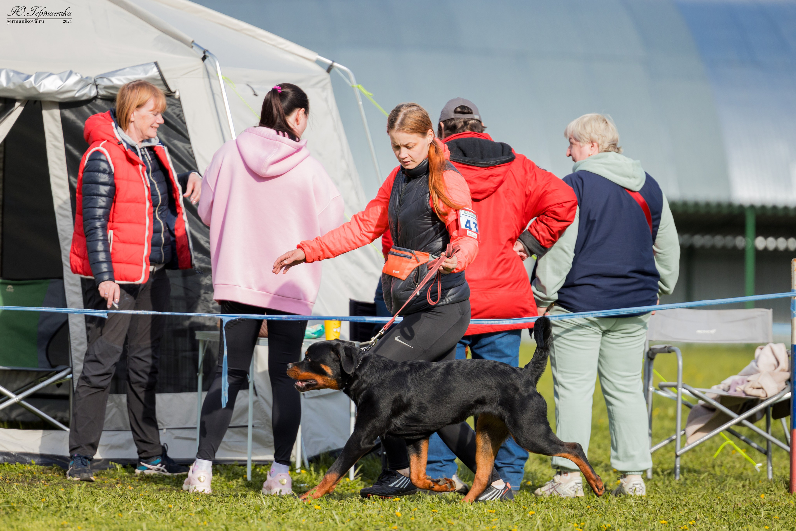 Нижний Новгород 11-12.05.2024 моно ротвейлеров. Фотограф-анималист Юлия Германика