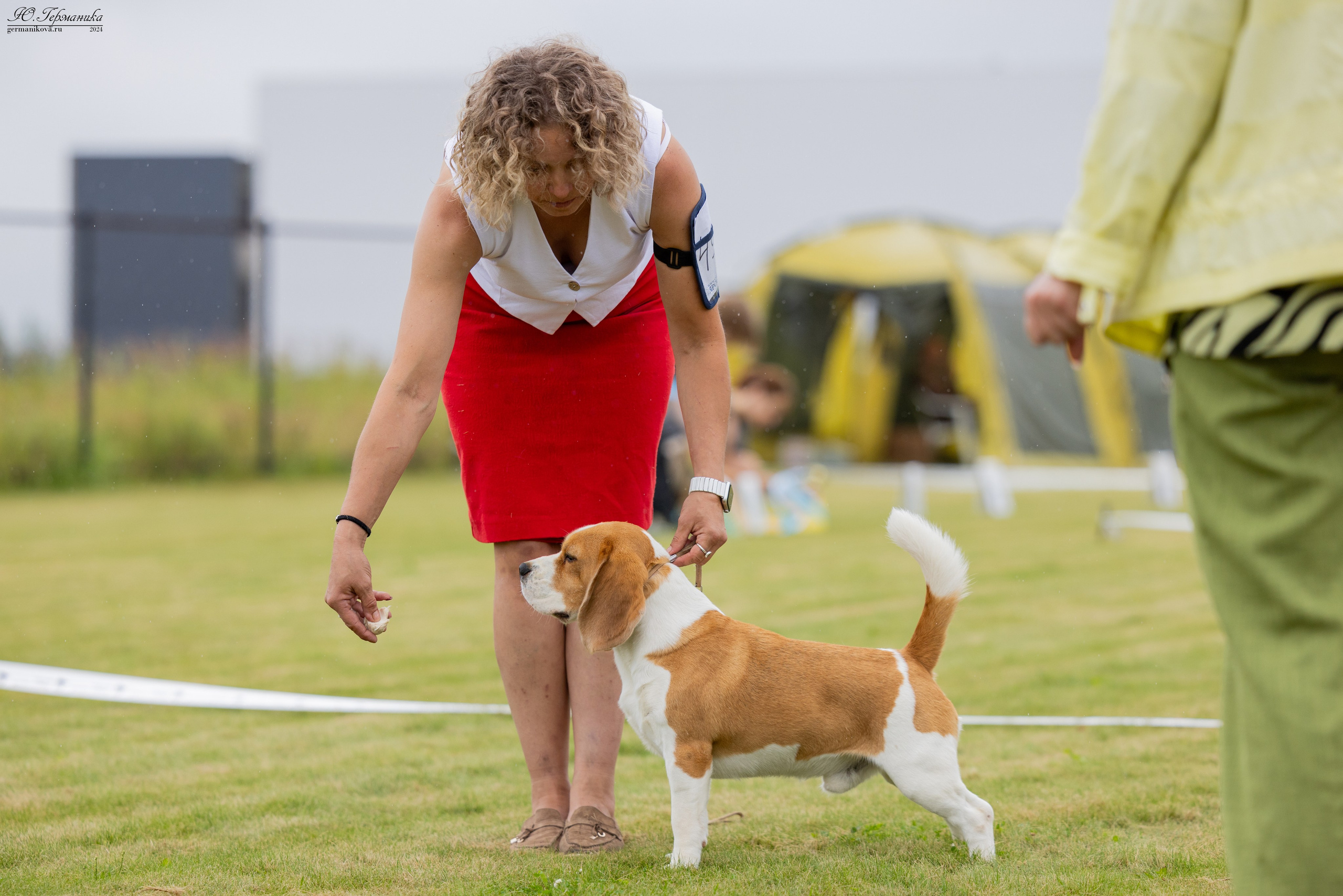 Ярославль 21.07.24 и Балашиха 13.07.24. Фотограф-анималист Юлия Германика