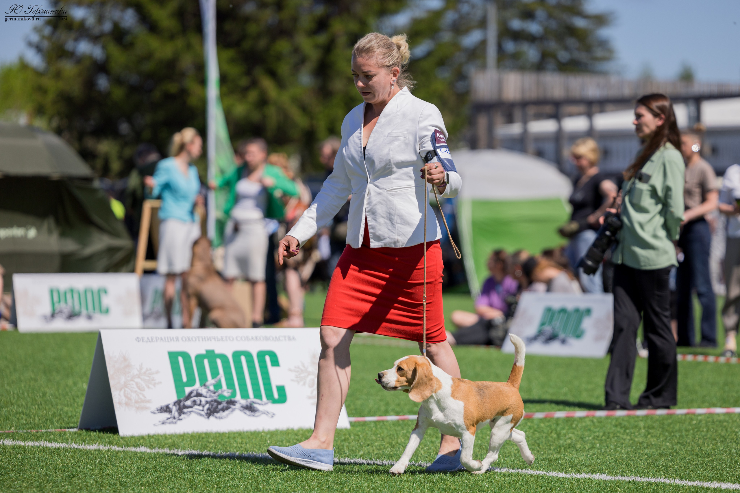 Суздаль 18-19.05.2024. Фотограф-анималист Юлия Германика