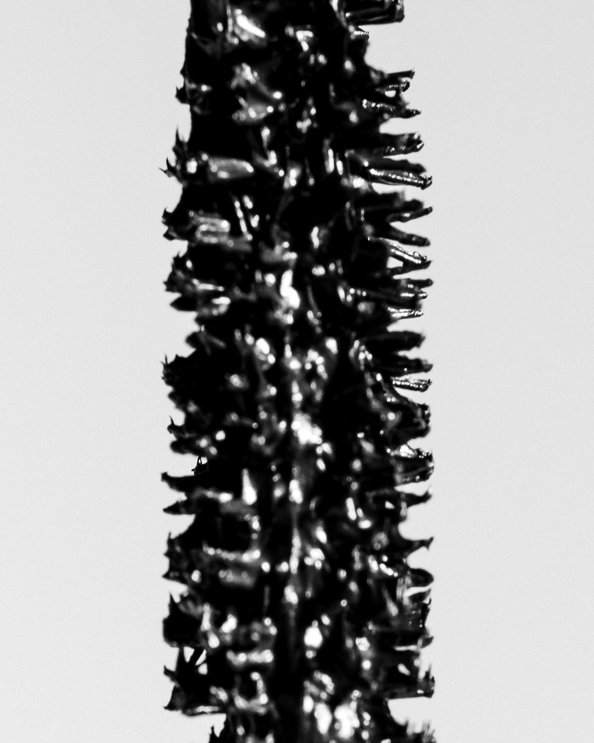 Image shooting. Photographer Anastasia Bondarchuk